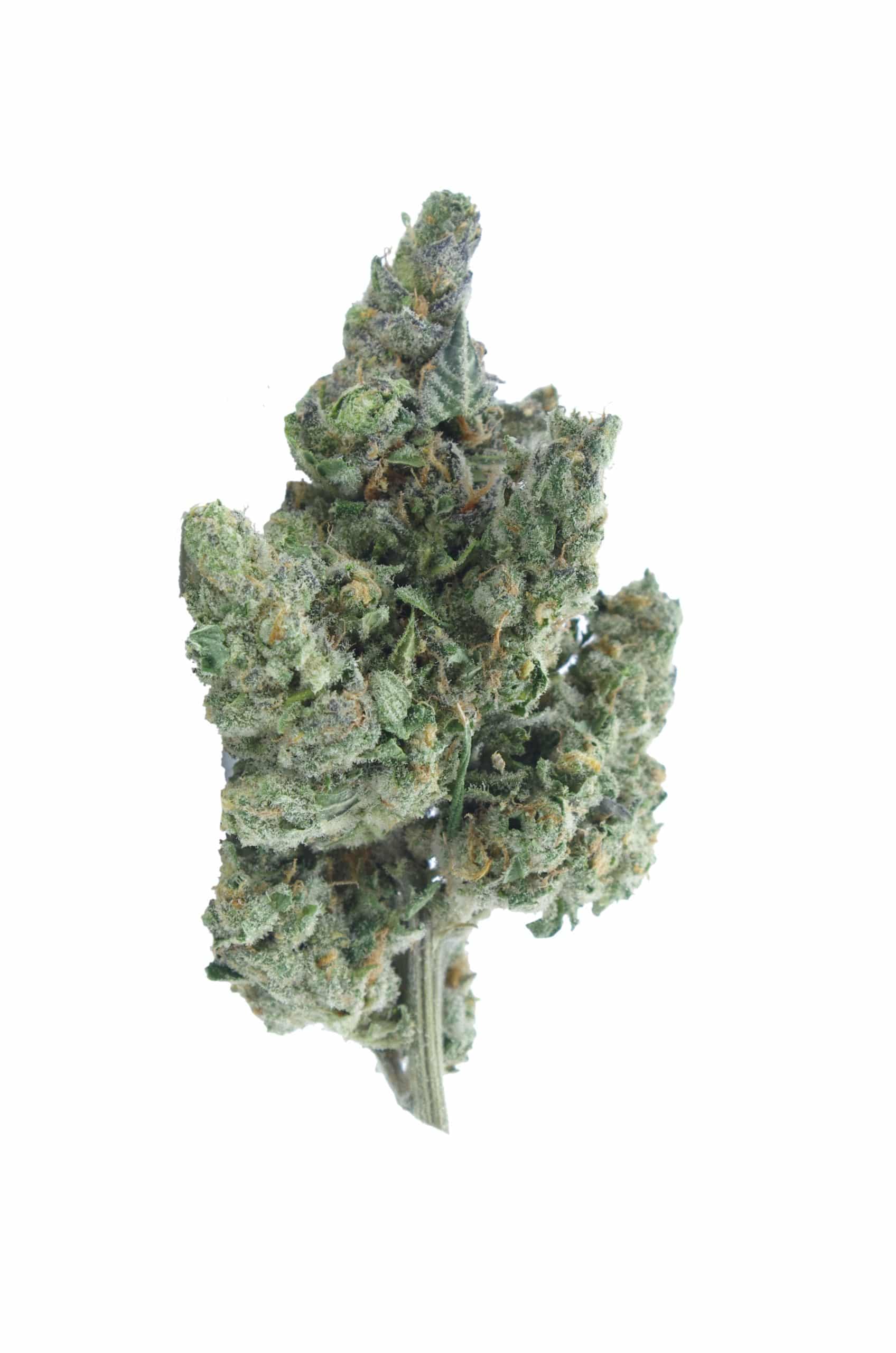 Jelly Rancher (Oz Special) All Strains anti-anxiety Jelly Rancher (Oz Special) All Strains anti-anxiety