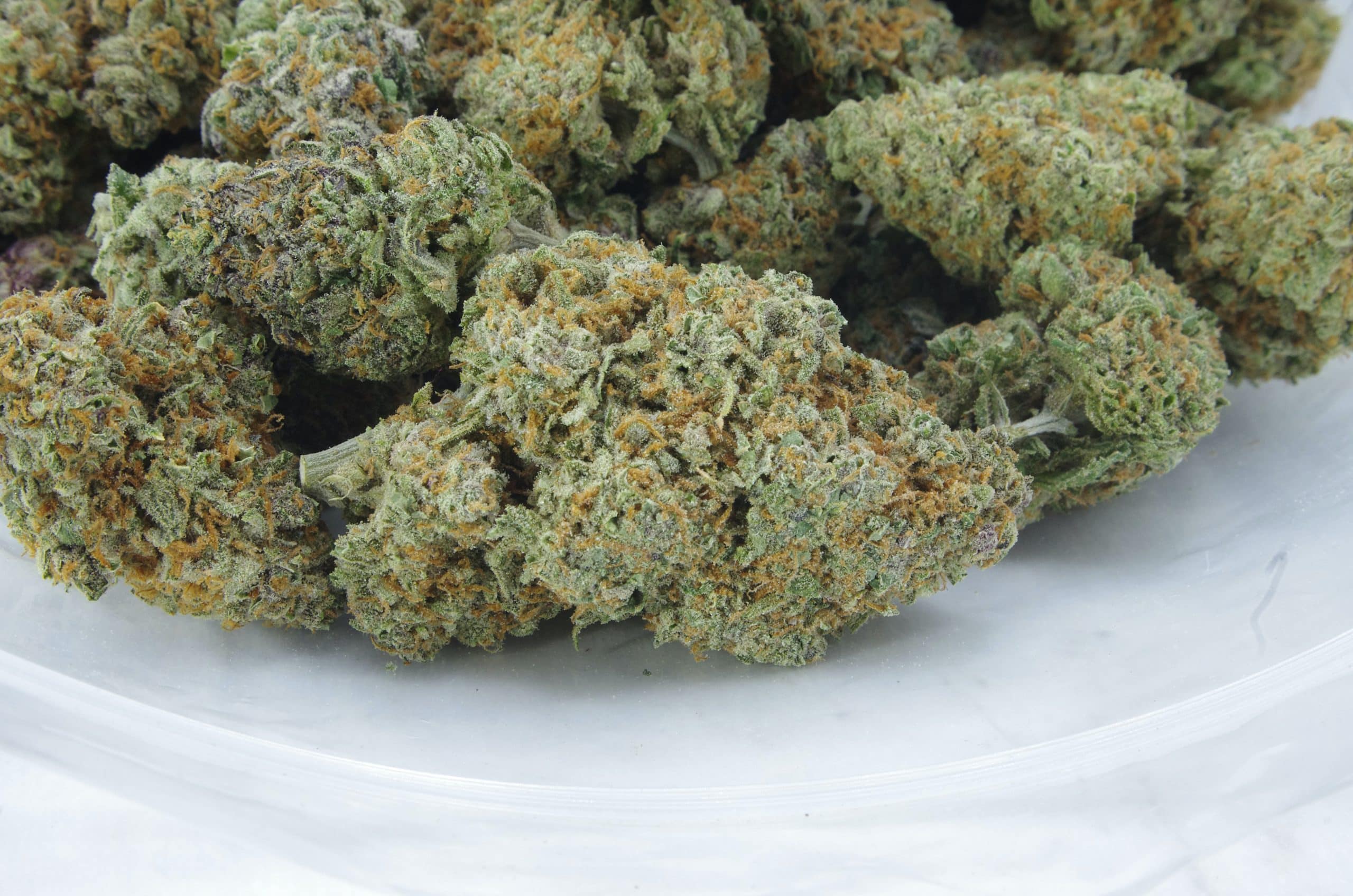 Laughing Buddha (Oz Special) All Strains Laughing Buddha (Oz Special) All Strains