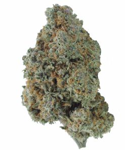 buy laughing buddha online