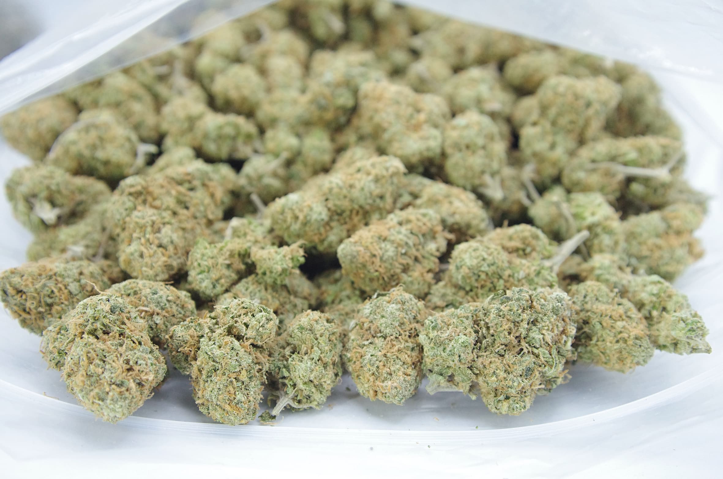Lemon OG (Oz Special) Hybrid anti-anxiety Lemon OG (Oz Special) Hybrid anti-anxiety
