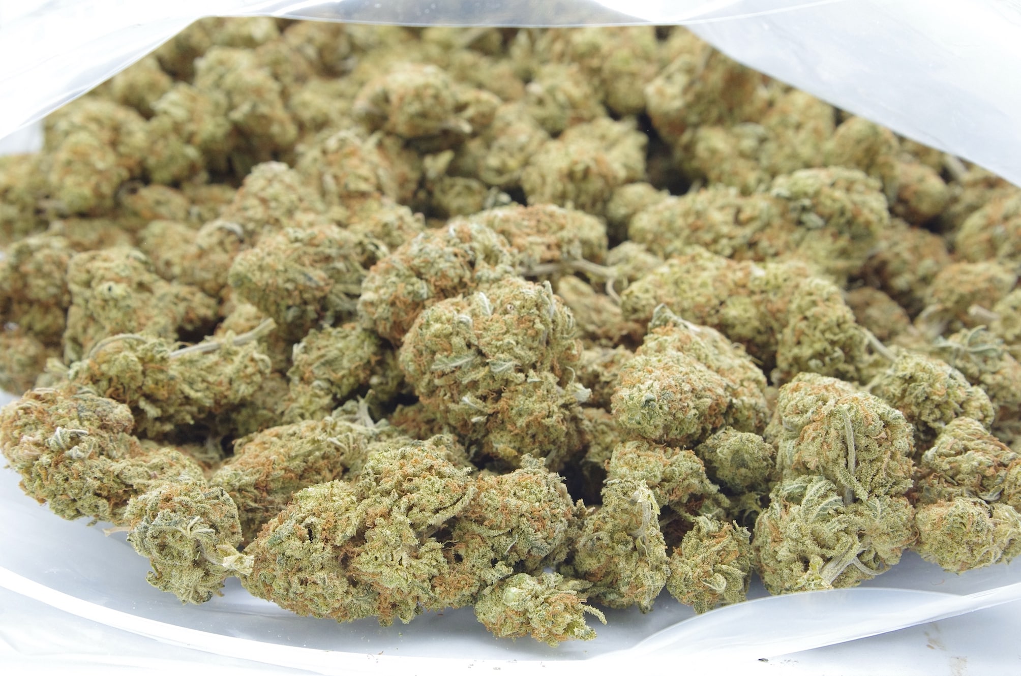 Lemon Drop (Oz Special) Hybrid anti-anxiety Lemon Drop (Oz Special) Hybrid anti-anxiety