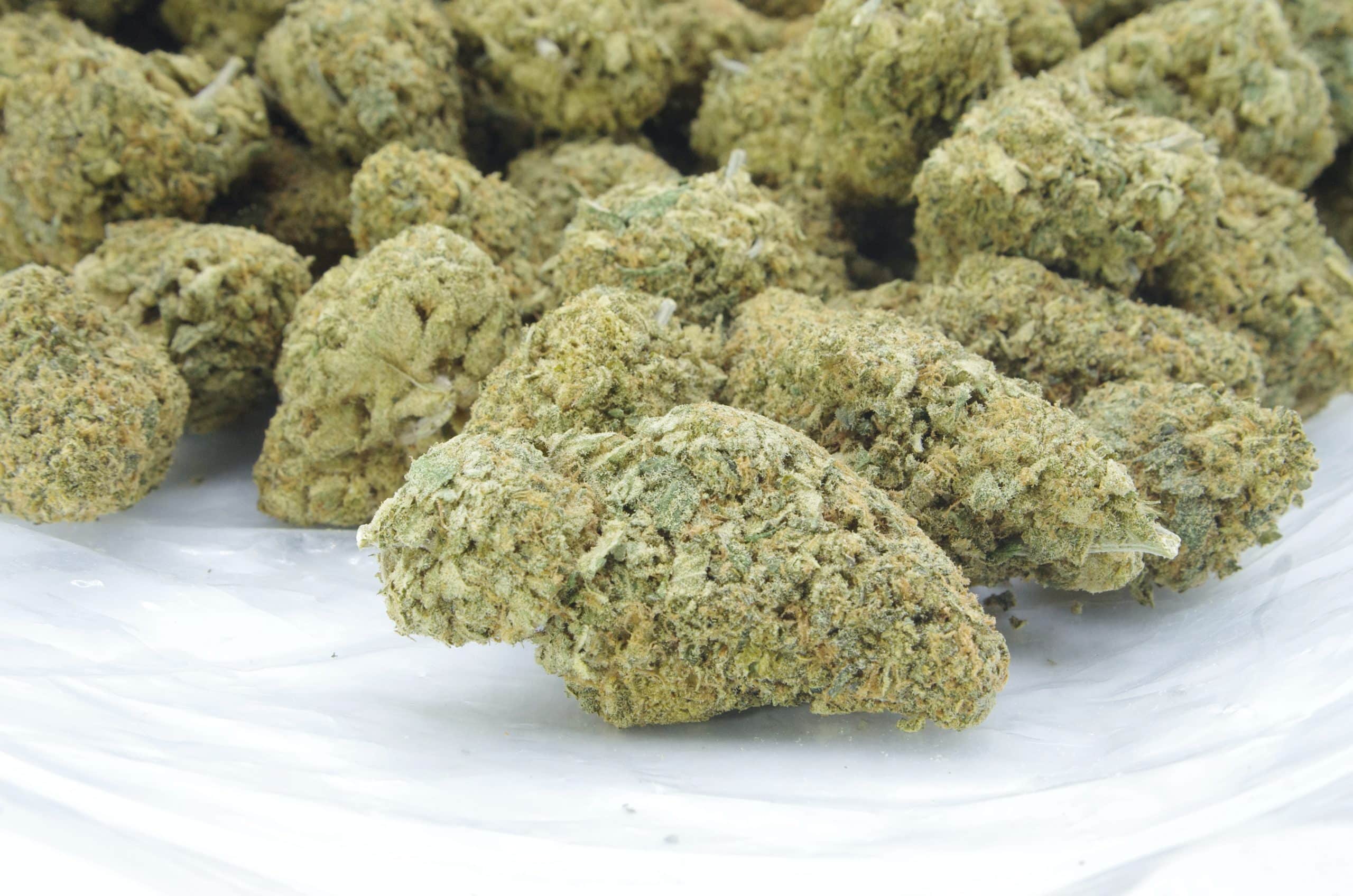 Lemon Drop (Ounce Special) All Strains anxiety Lemon Drop (Ounce Special) All Strains anxiety
