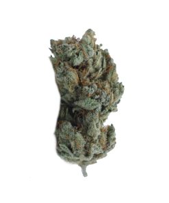 buy lemon runtz online