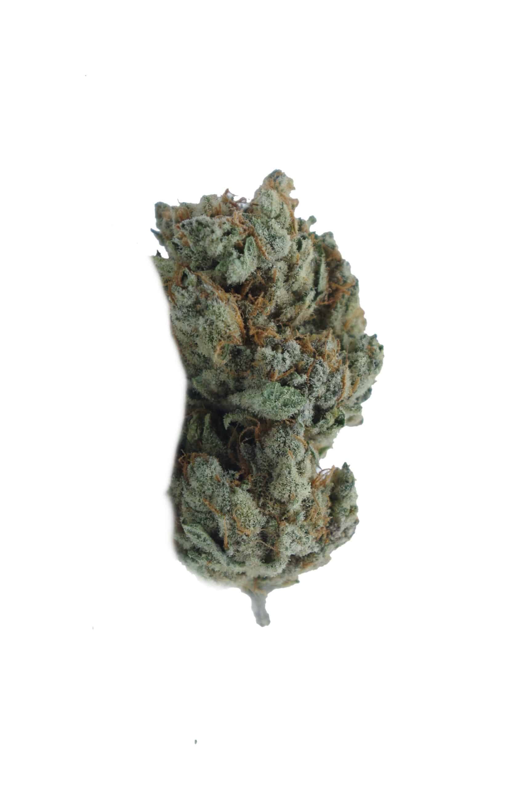Lemon Runtz (Oz Special) Hybrid anti-anxiety Lemon Runtz (Oz Special) Hybrid anti-anxiety