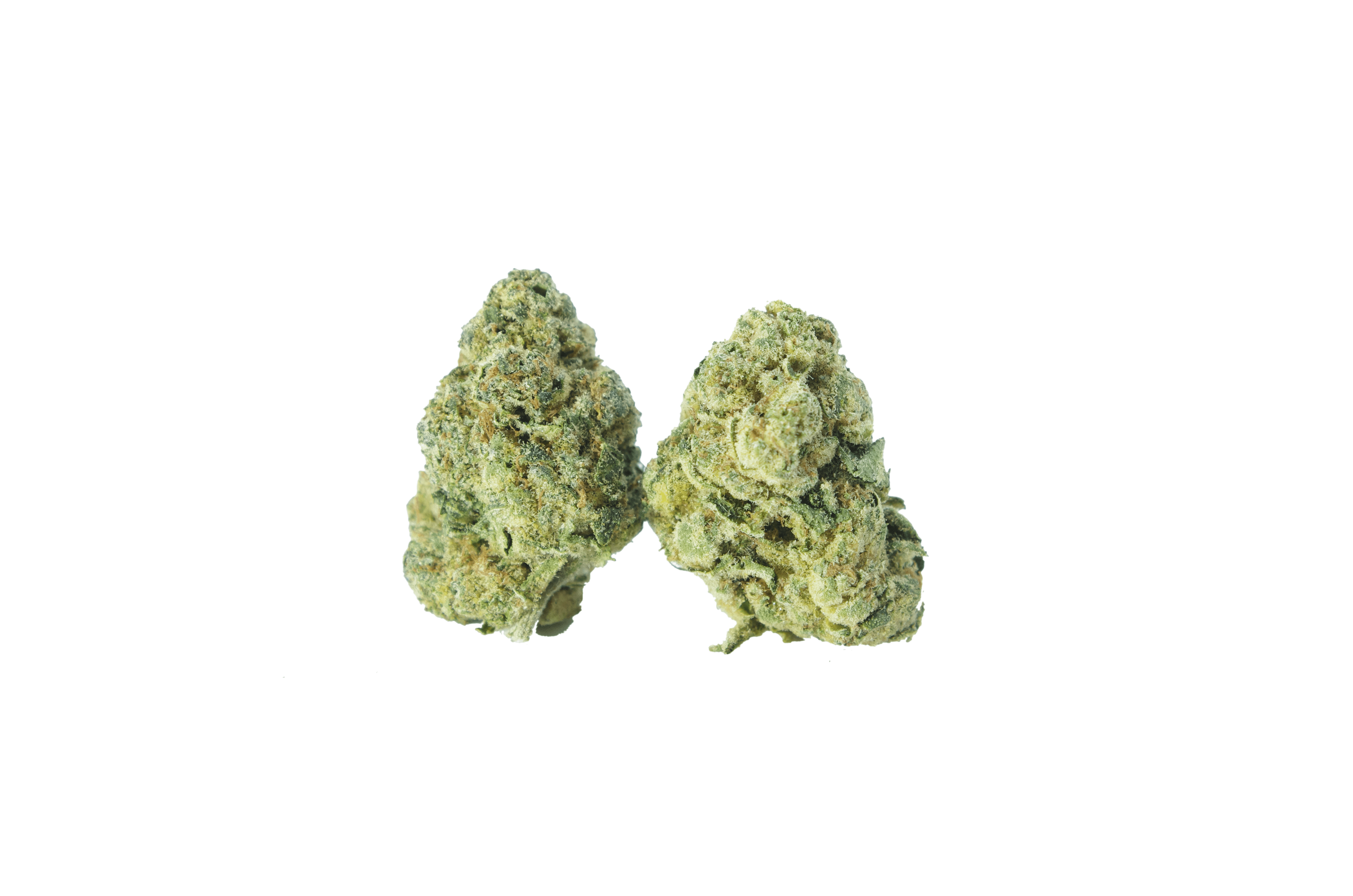 Legendary Larry (Oz Special) All Strains anti-anxiety Legendary Larry (Oz Special) All Strains anti-anxiety