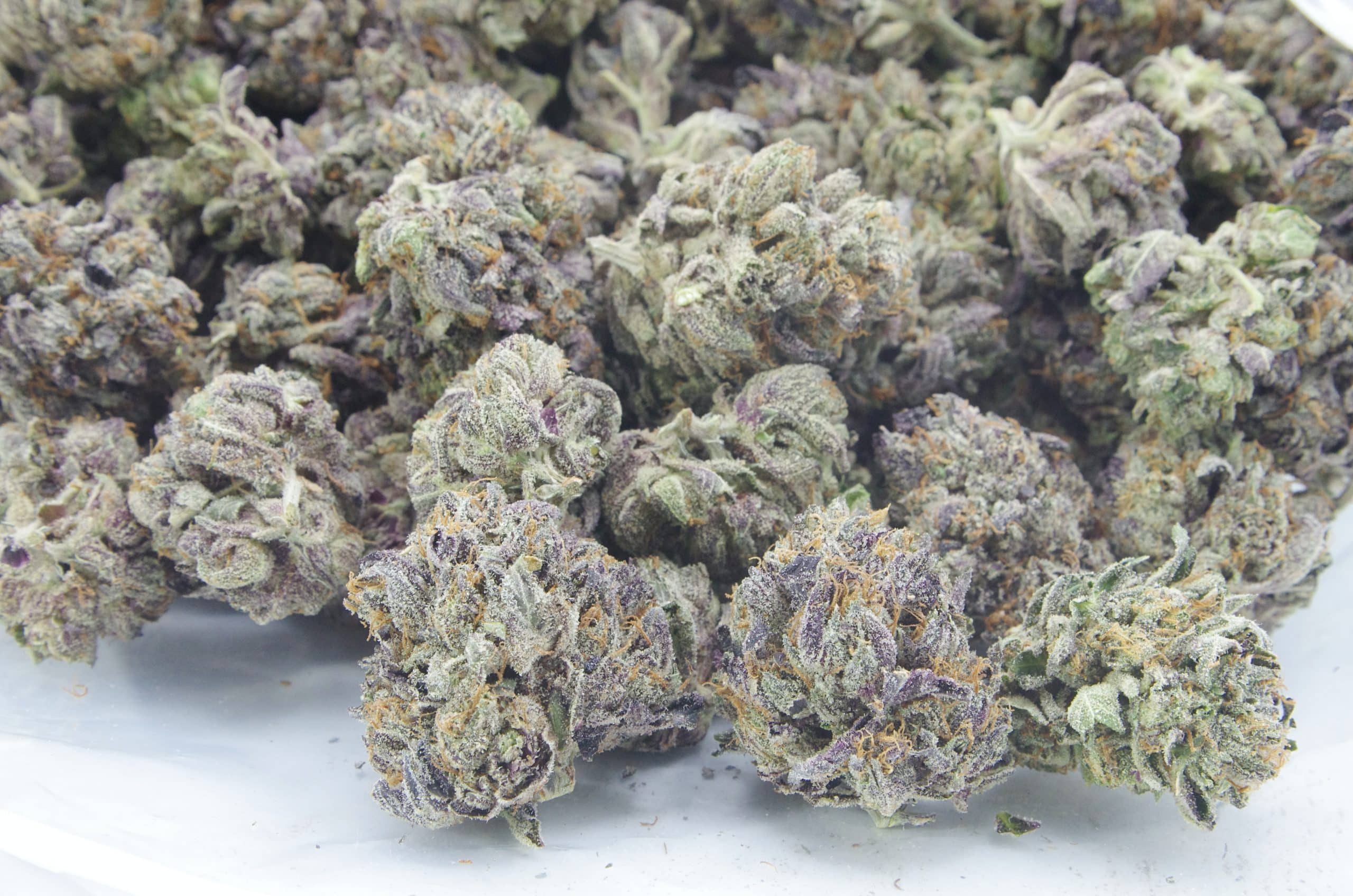Lizard Kush (Oz special) Indica anti-anxiety Lizard Kush (Oz special) Indica anti-anxiety