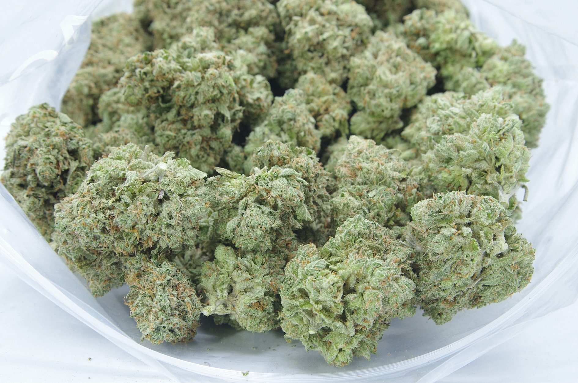 Mango Haze All Strains anti-anxiety Mango Haze All Strains anti-anxiety