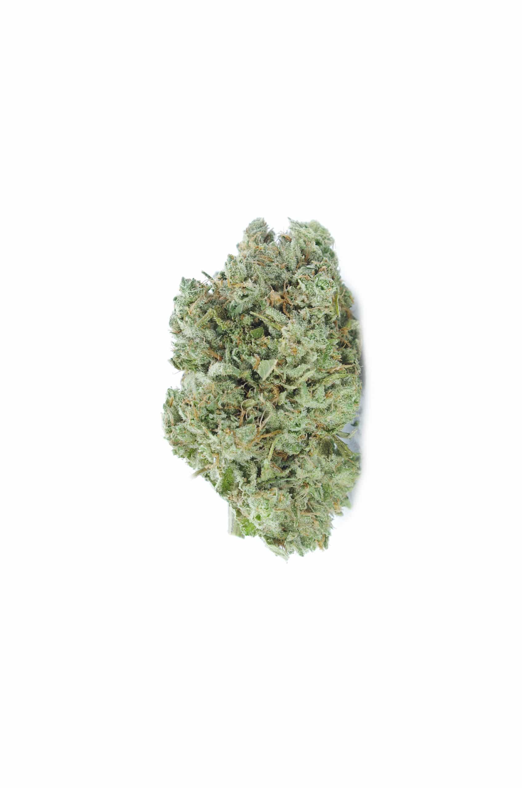 Mango Haze All Strains anti-anxiety Mango Haze All Strains anti-anxiety