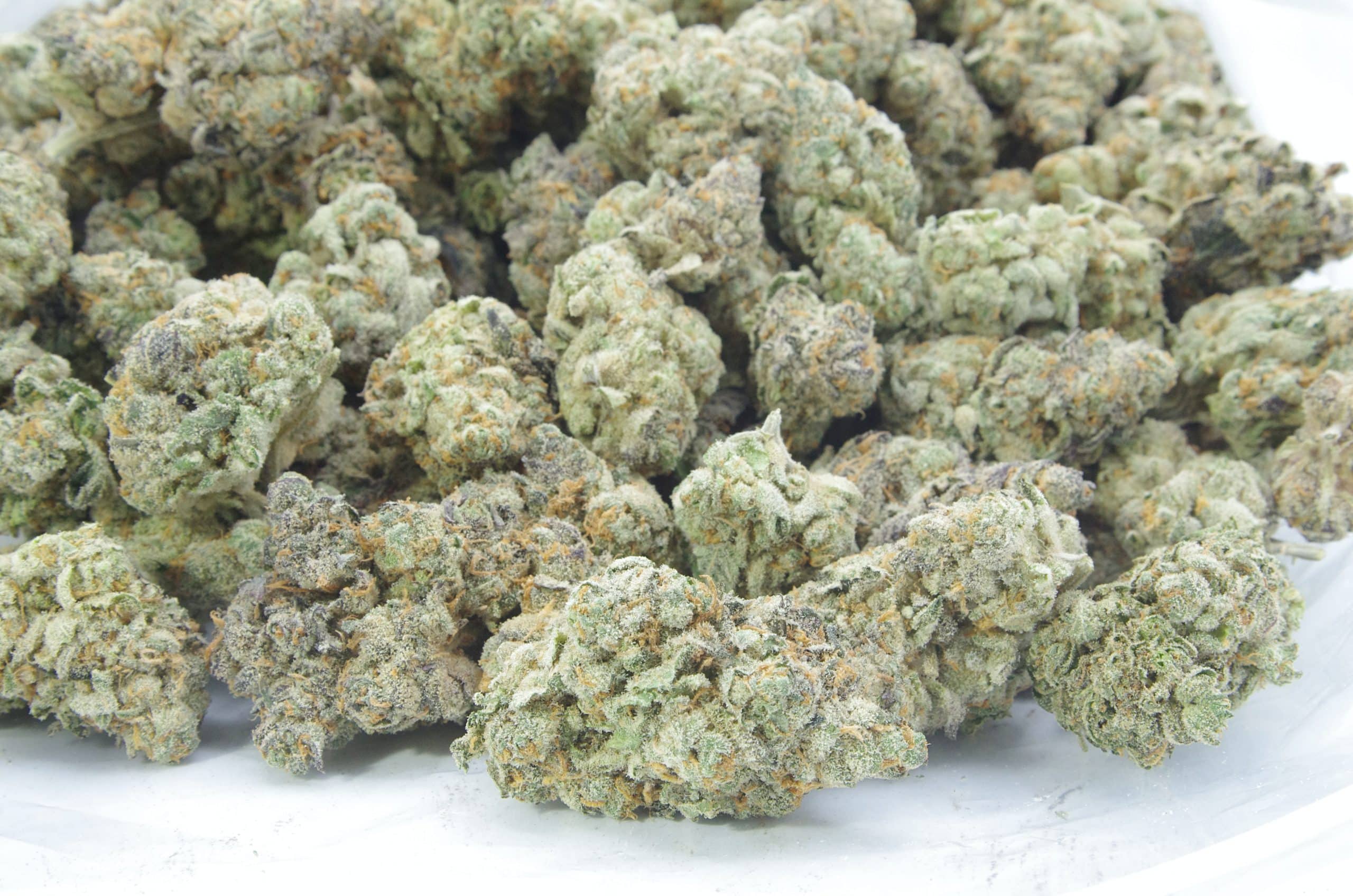 Mendo Breath (Oz Special) Hybrid anti-anxiety Mendo Breath (Oz Special) Hybrid anti-anxiety