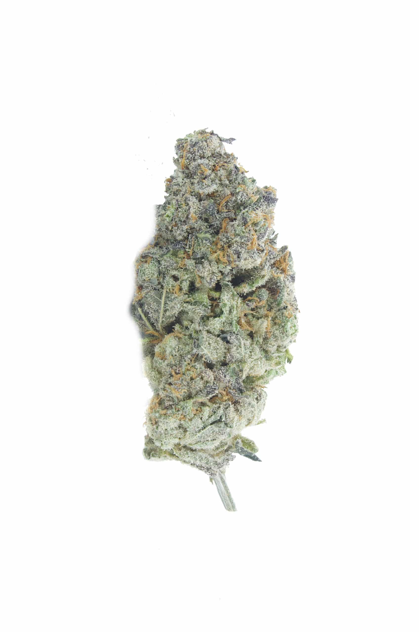 Mendo Breath (Oz Special) Hybrid anti-anxiety Mendo Breath (Oz Special) Hybrid anti-anxiety