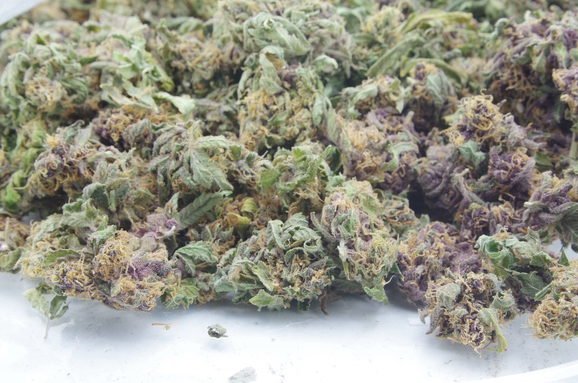 Mendo Purps Smalls (Oz Special) Hybrid anti-anxiety Mendo Purps Smalls (Oz Special) Hybrid anti-anxiety