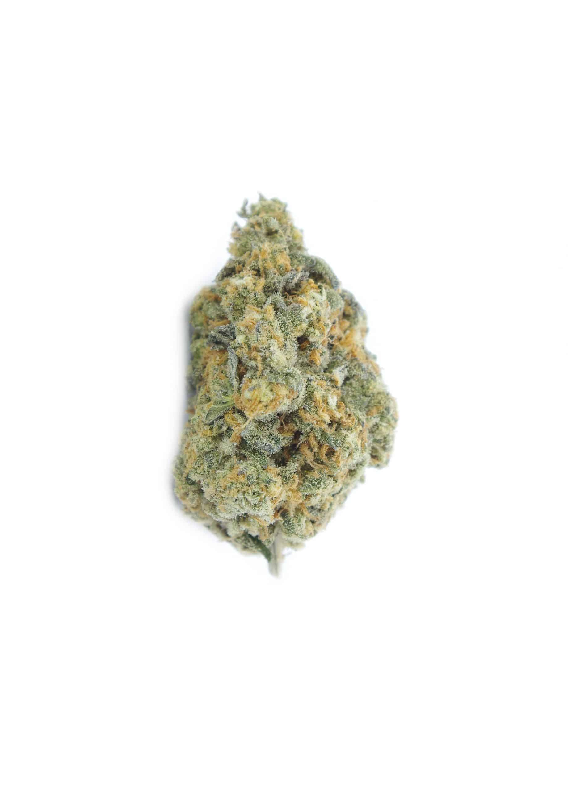 Mimosa EVO (Oz Special) Hybrid anti-anxiety Mimosa EVO (Oz Special) Hybrid anti-anxiety