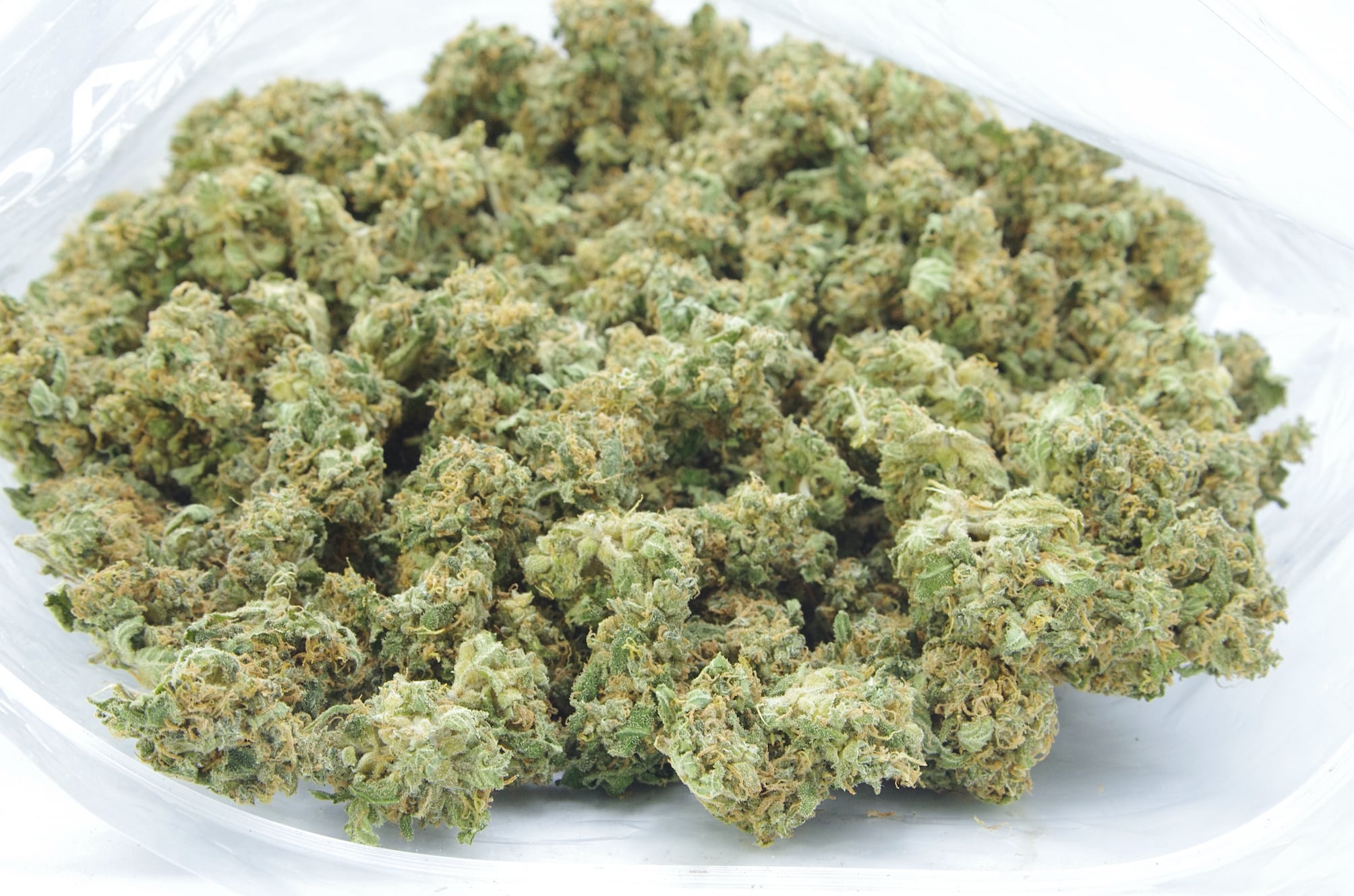 Moby Dick Mids (Oz Special) Sativa anti-anxiety Moby Dick Mids (Oz Special) Sativa anti-anxiety