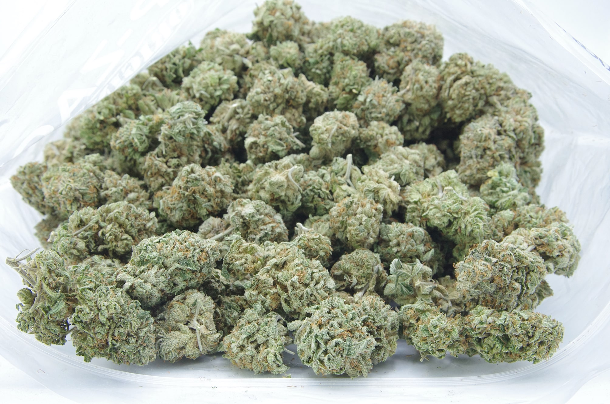 OG (Oz Special) Hybrid anti-anxiety OG (Oz Special) Hybrid anti-anxiety