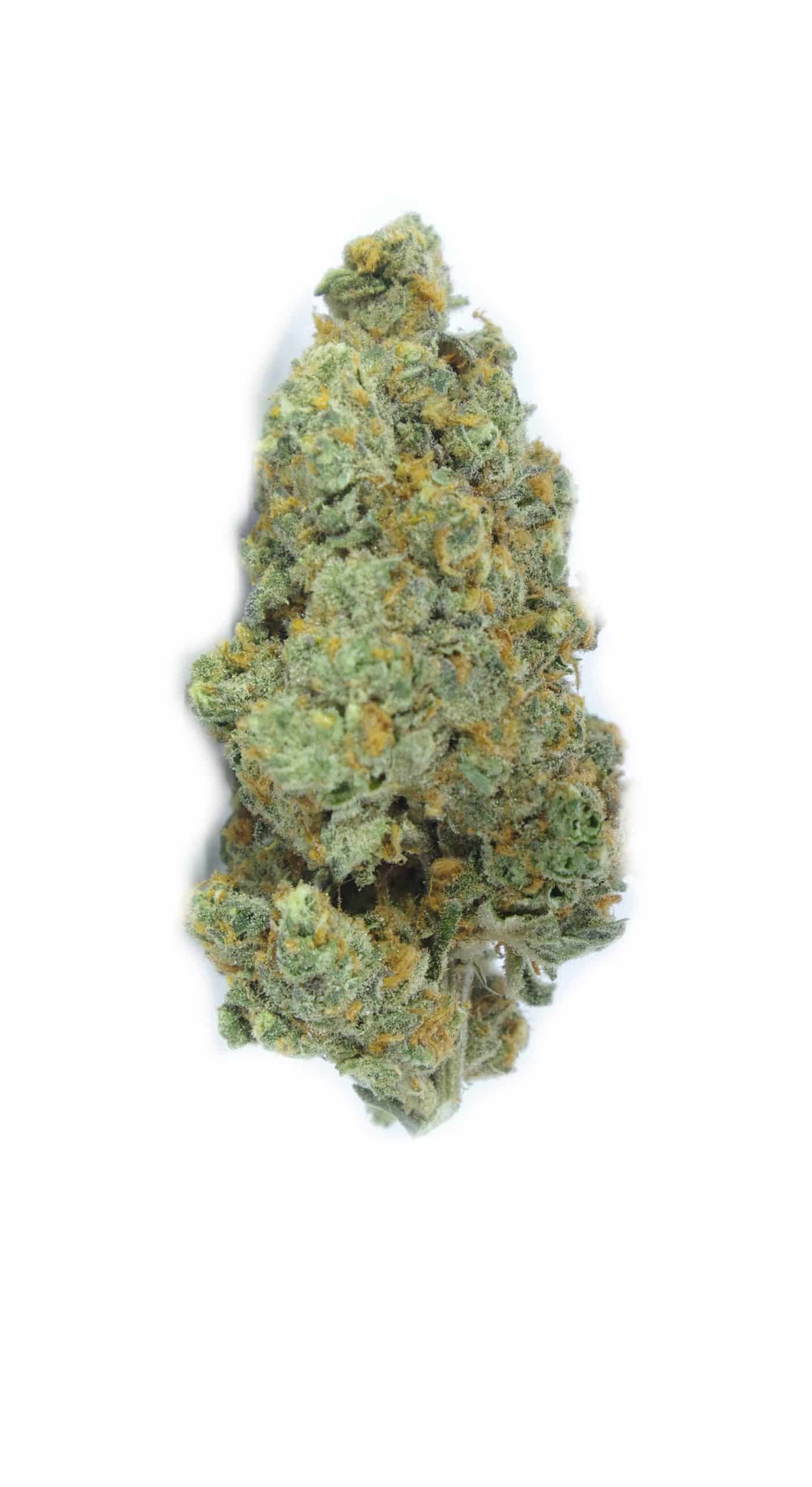Orange Velvet (Oz Special) Hybrid anti-anxiety Orange Velvet (Oz Special) Hybrid anti-anxiety