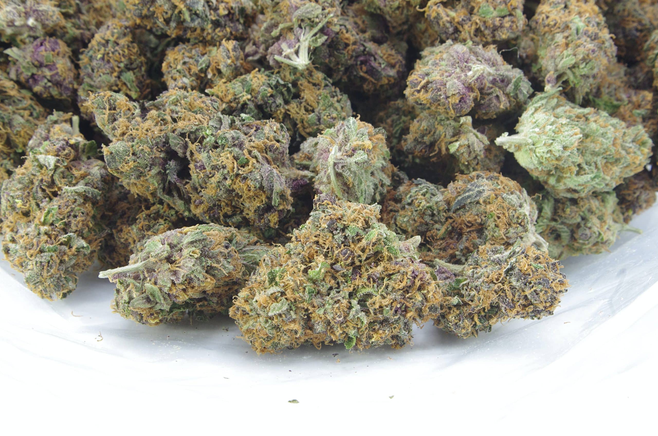 Orange Crush (Oz Special) All Strains anti-anxiety Orange Crush (Oz Special) All Strains anti-anxiety