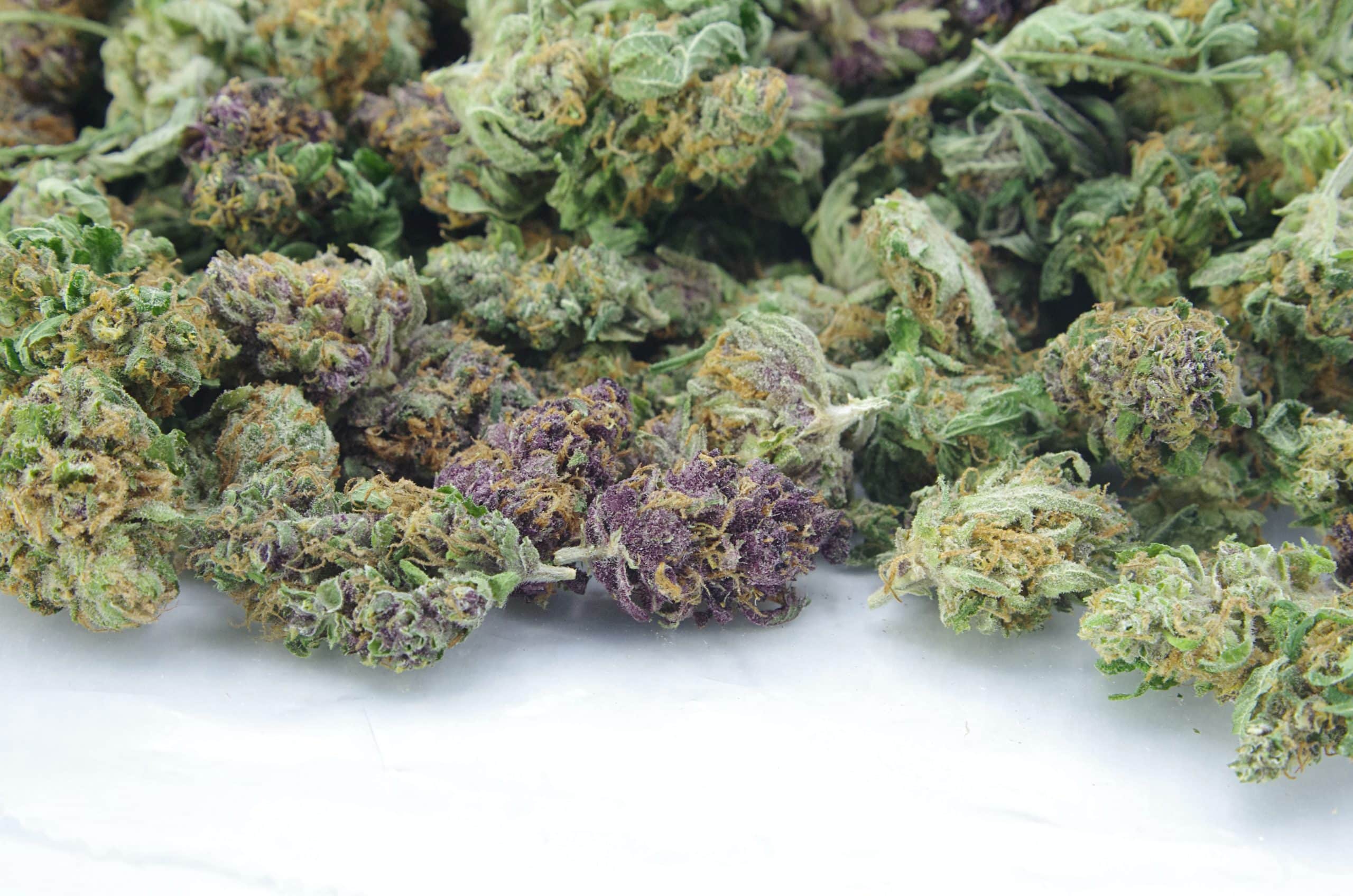 Orange Dream Smalls (Oz Special) All Strains anti-anxiety Orange Dream Smalls (Oz Special) All Strains anti-anxiety
