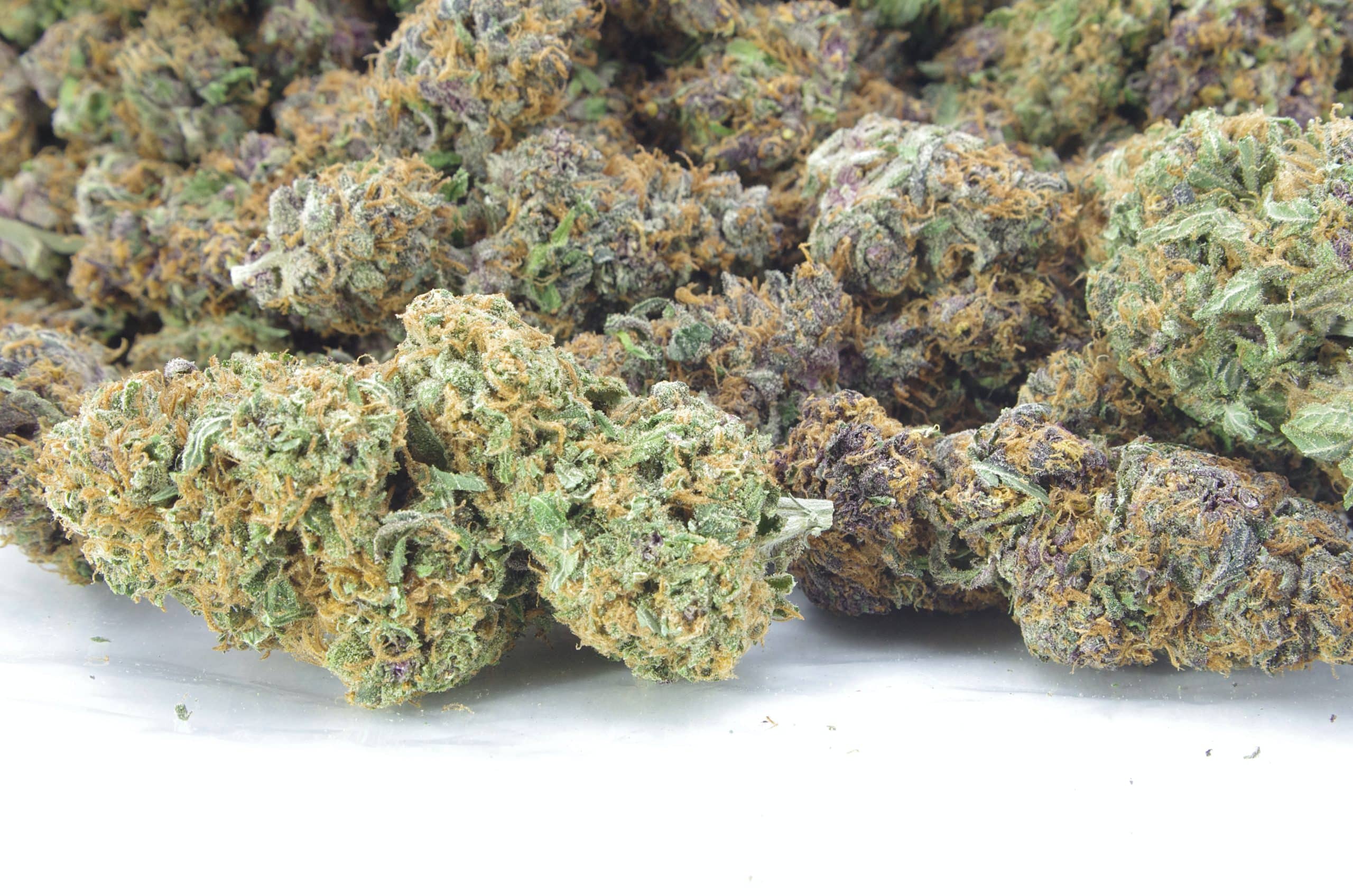 Orange Dream (Oz Special) All Strains anti-anxiety Orange Dream (Oz Special) All Strains anti-anxiety