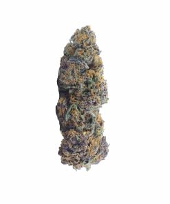 buy orange dream online