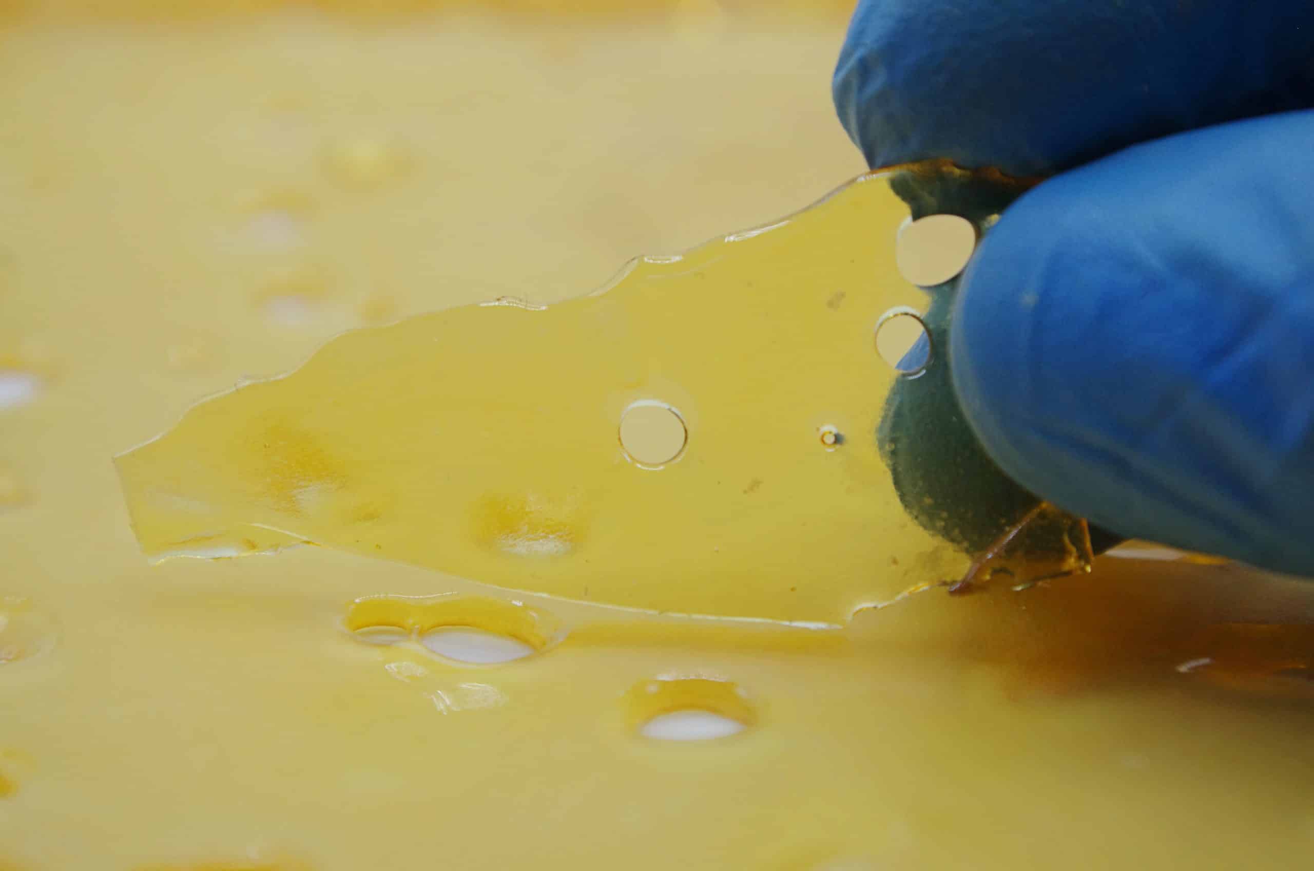 Sherbet Cake Shatter Concentrates Sherbet Cake Shatter Concentrates