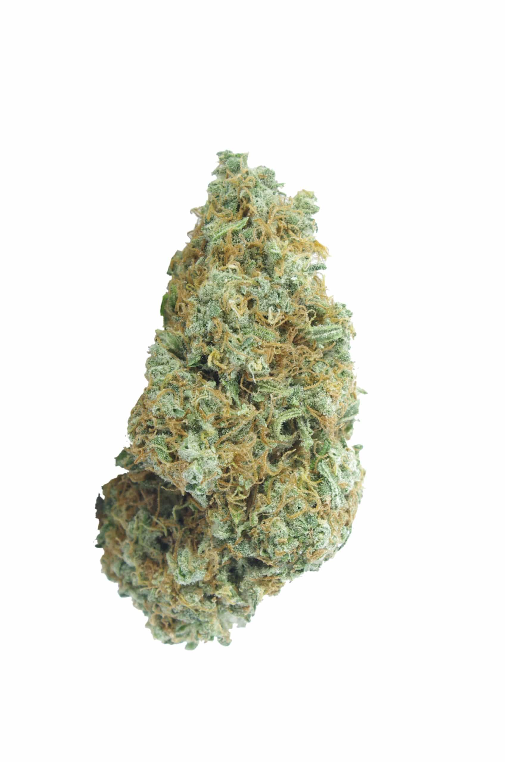 Original Haze (3.5G) Sativa anti-anxiety Original Haze (3.5G) Sativa anti-anxiety