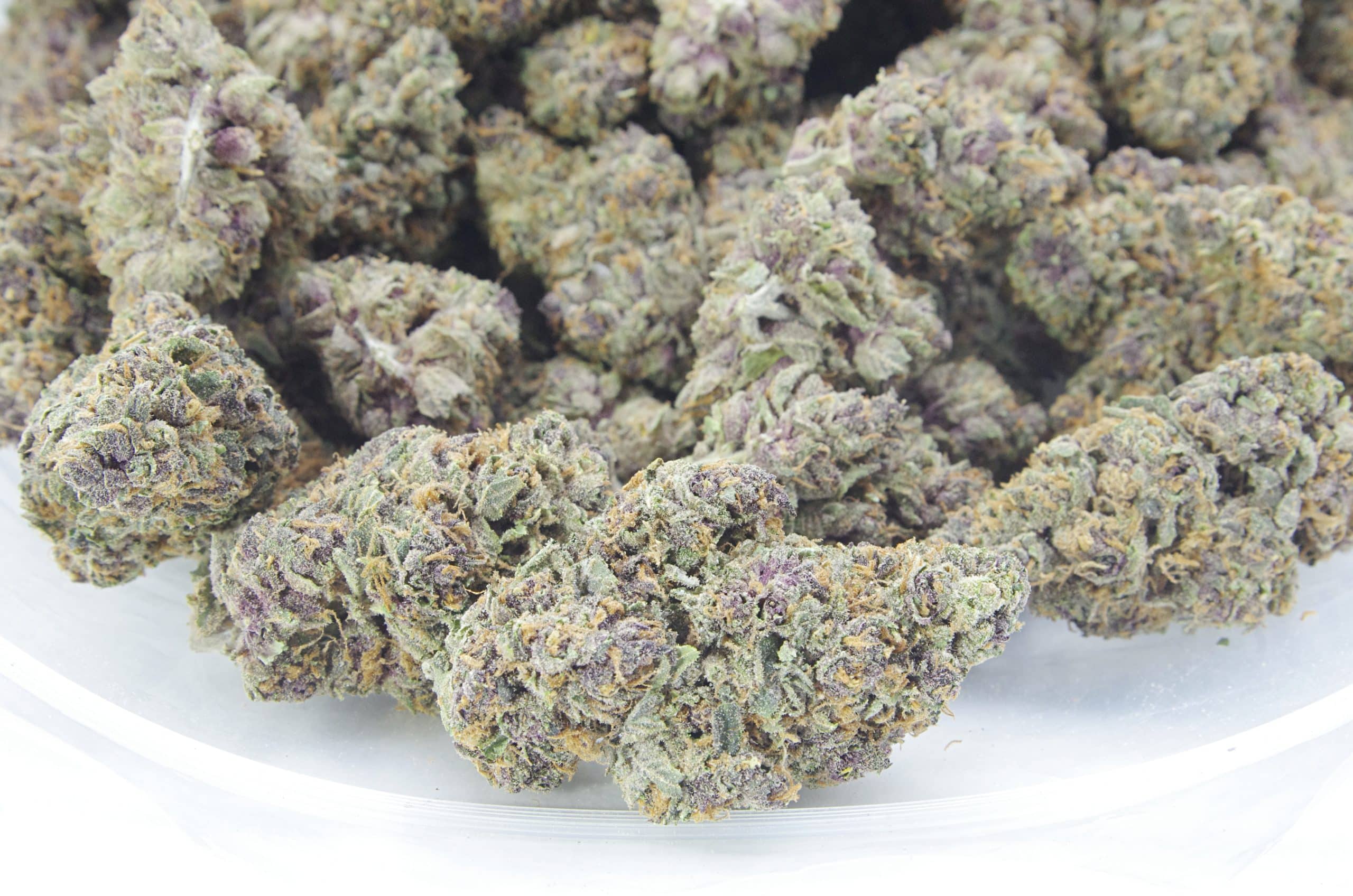 Passion Fruit (Oz Special) All Strains anti-anxiety Passion Fruit (Oz Special) All Strains anti-anxiety