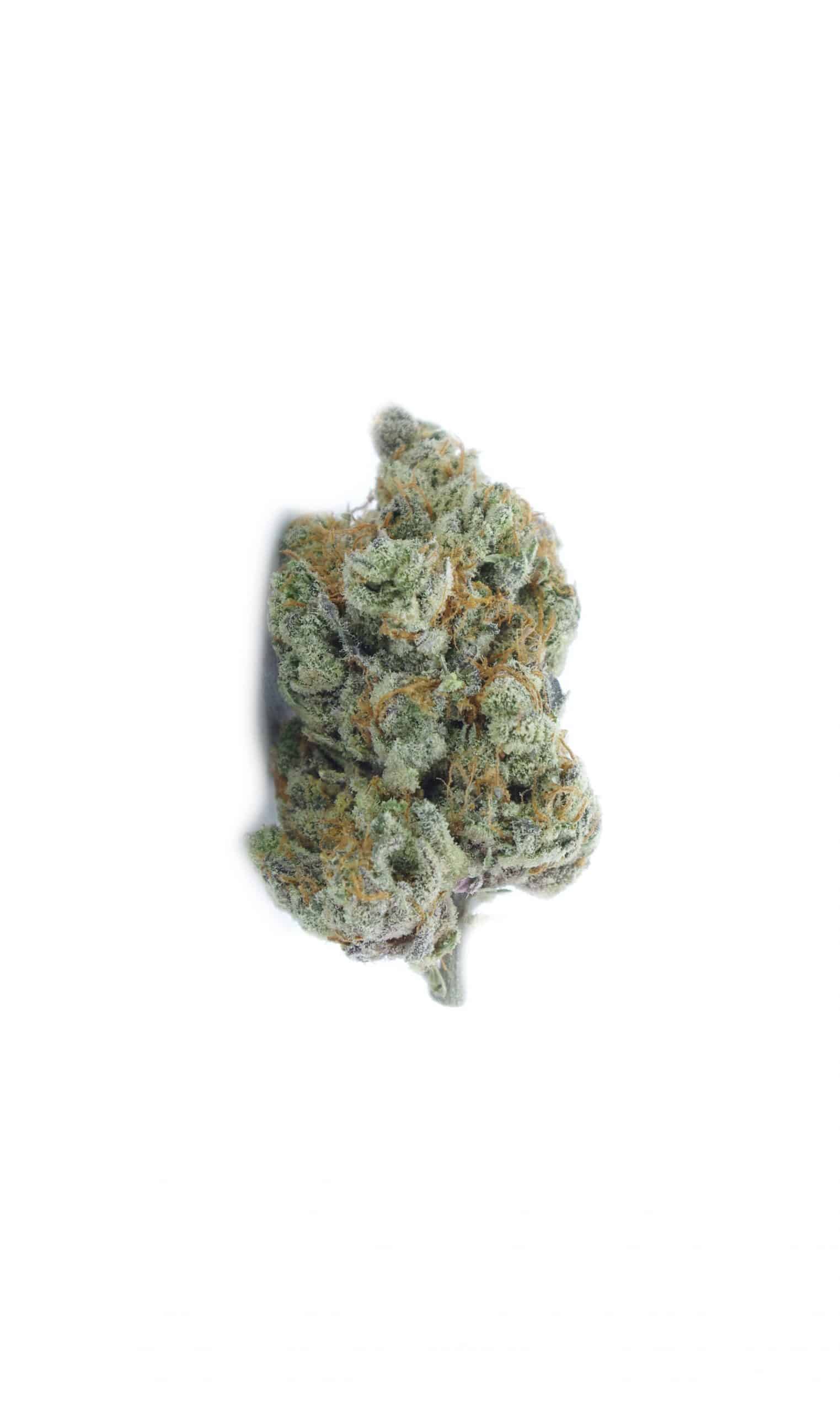 Peach Tree (Oz Special) Hybrid anti-anxiety Peach Tree (Oz Special) Hybrid anti-anxiety