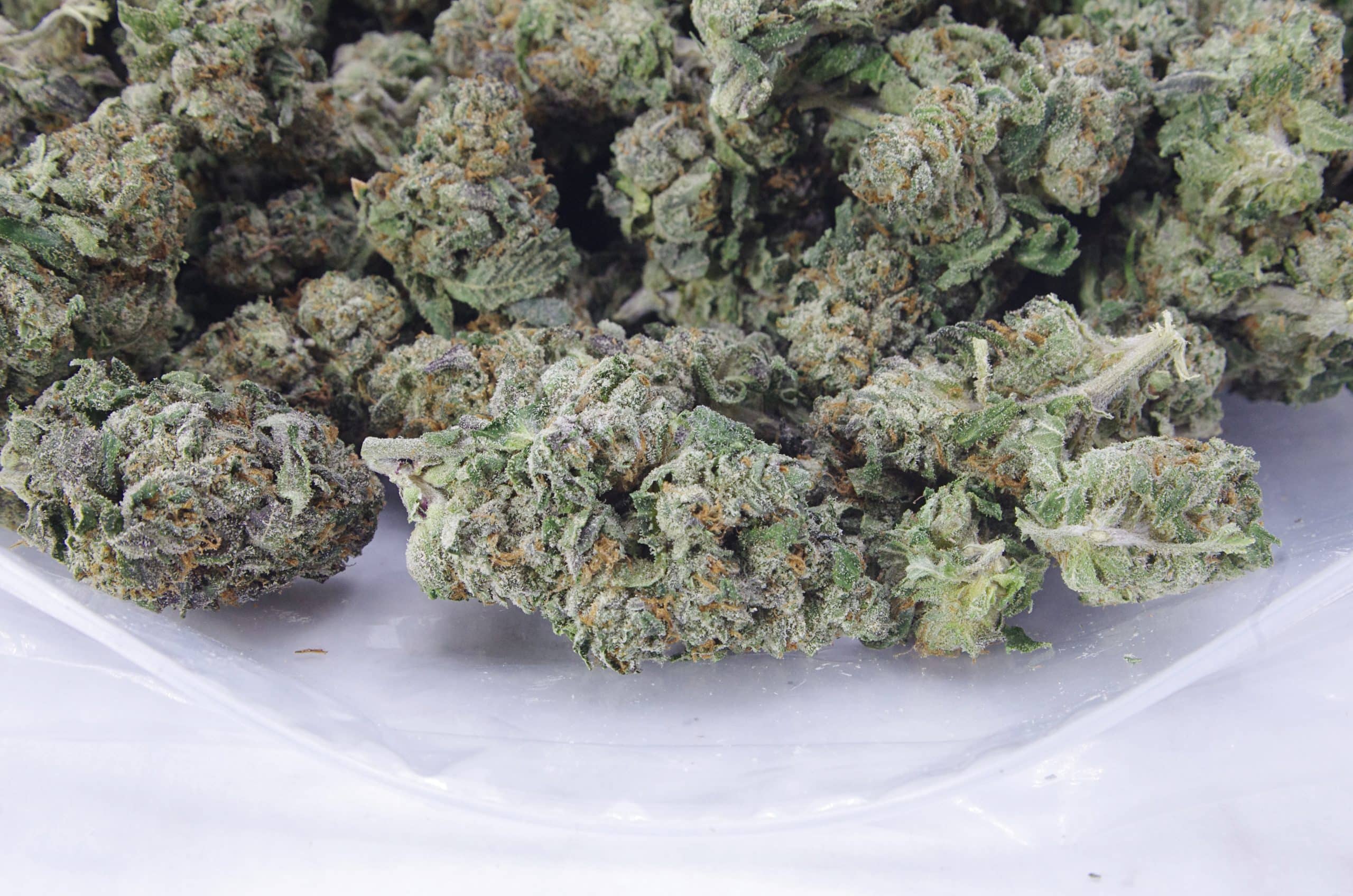 Pineapple Skunk (Oz Special) All Strains anxiety Pineapple Skunk (Oz Special) All Strains anxiety