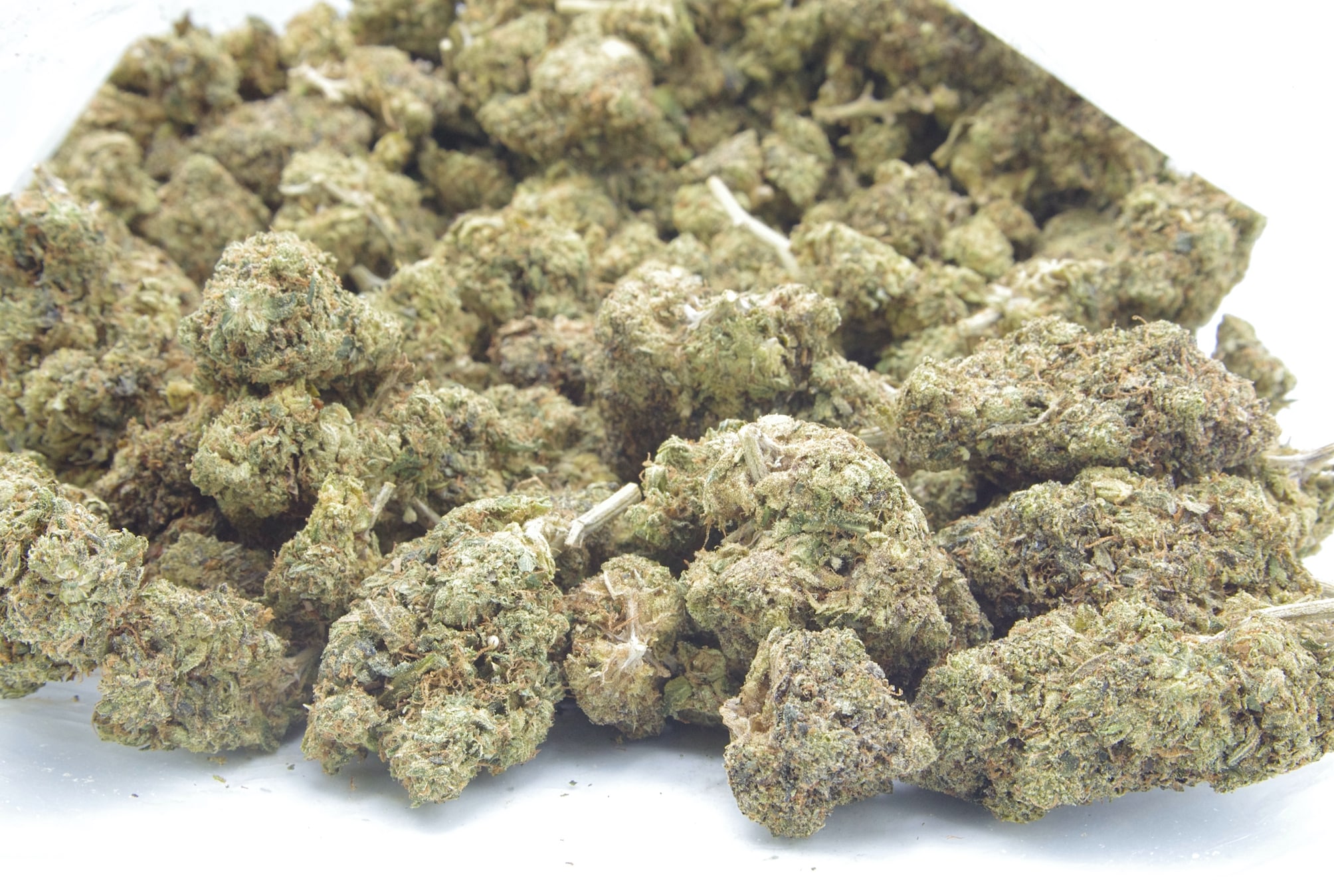 Pinetar Kush (Oz Special) Indica anxiety Pinetar Kush (Oz Special) Indica anxiety