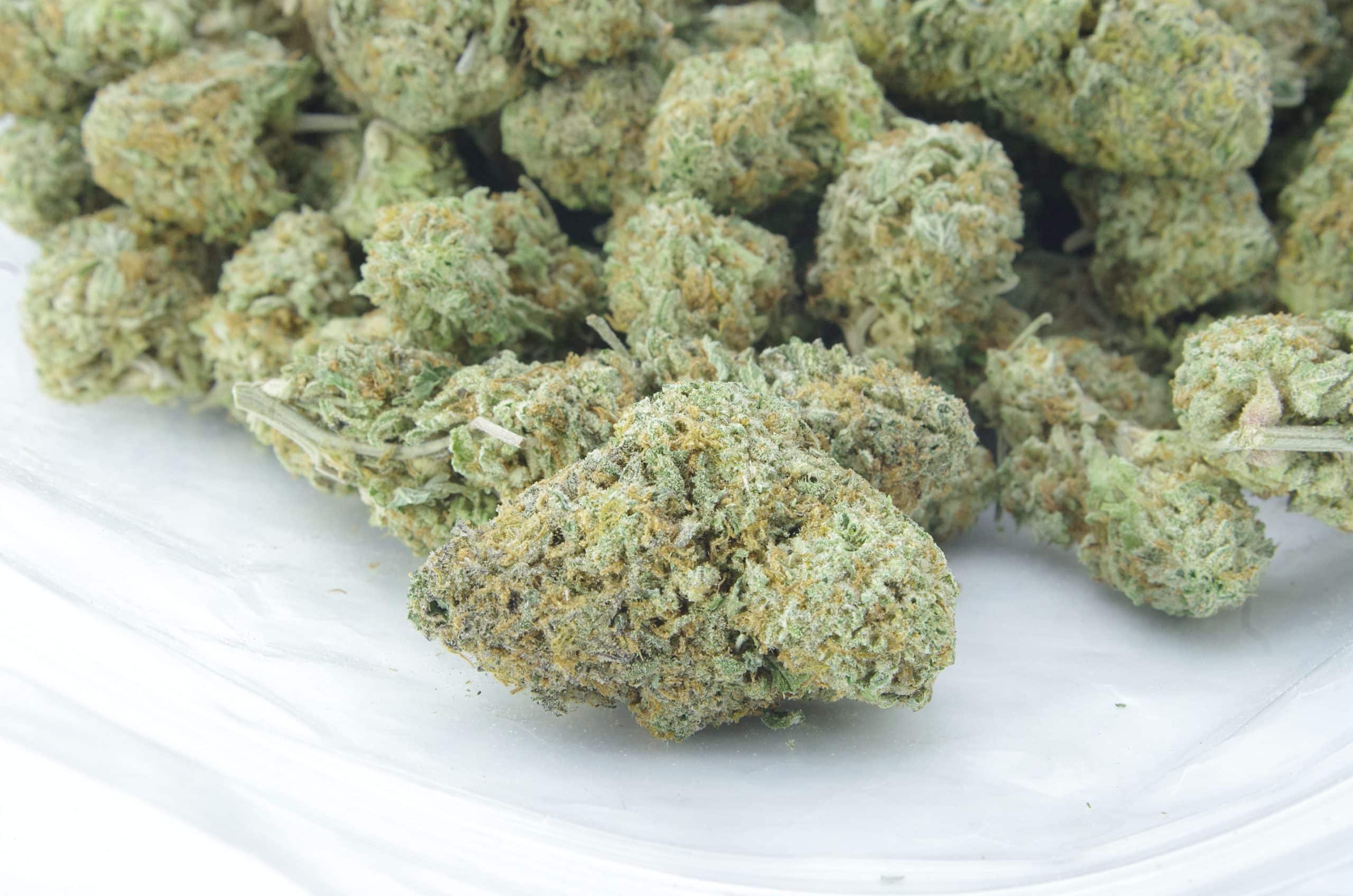 Pink Biscotti (Oz Special) All Strains anxiety Pink Biscotti (Oz Special) All Strains anxiety