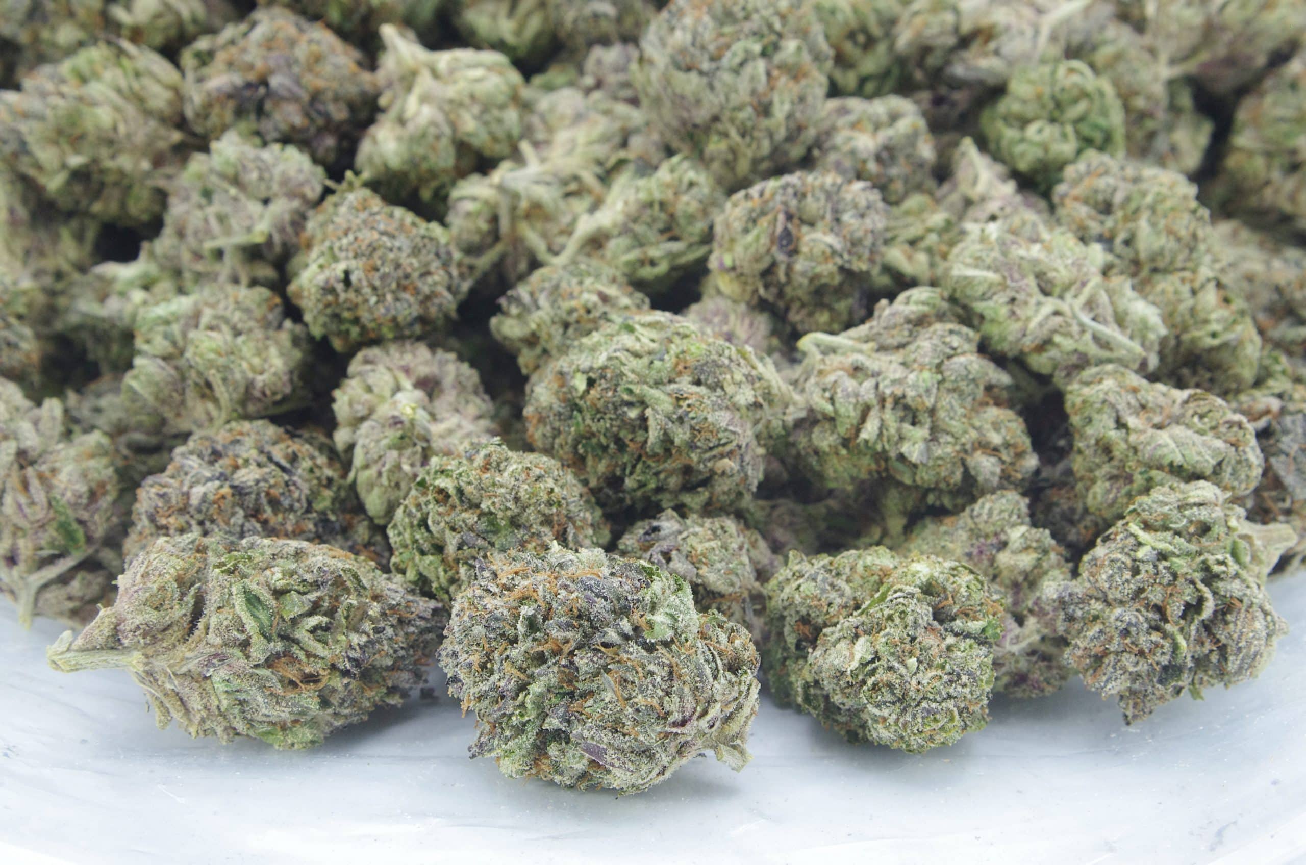 Pink Death (Oz Special) Indica anti-anxiety Pink Death (Oz Special) Indica anti-anxiety
