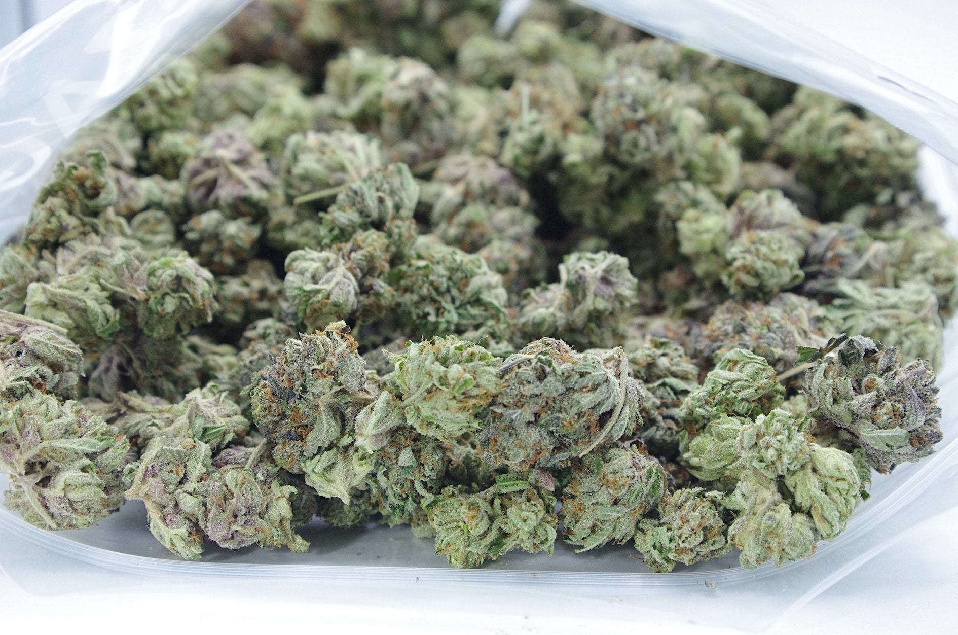 Pink Goo (Oz Special) Indica anti-anxiety Pink Goo (Oz Special) Indica anti-anxiety