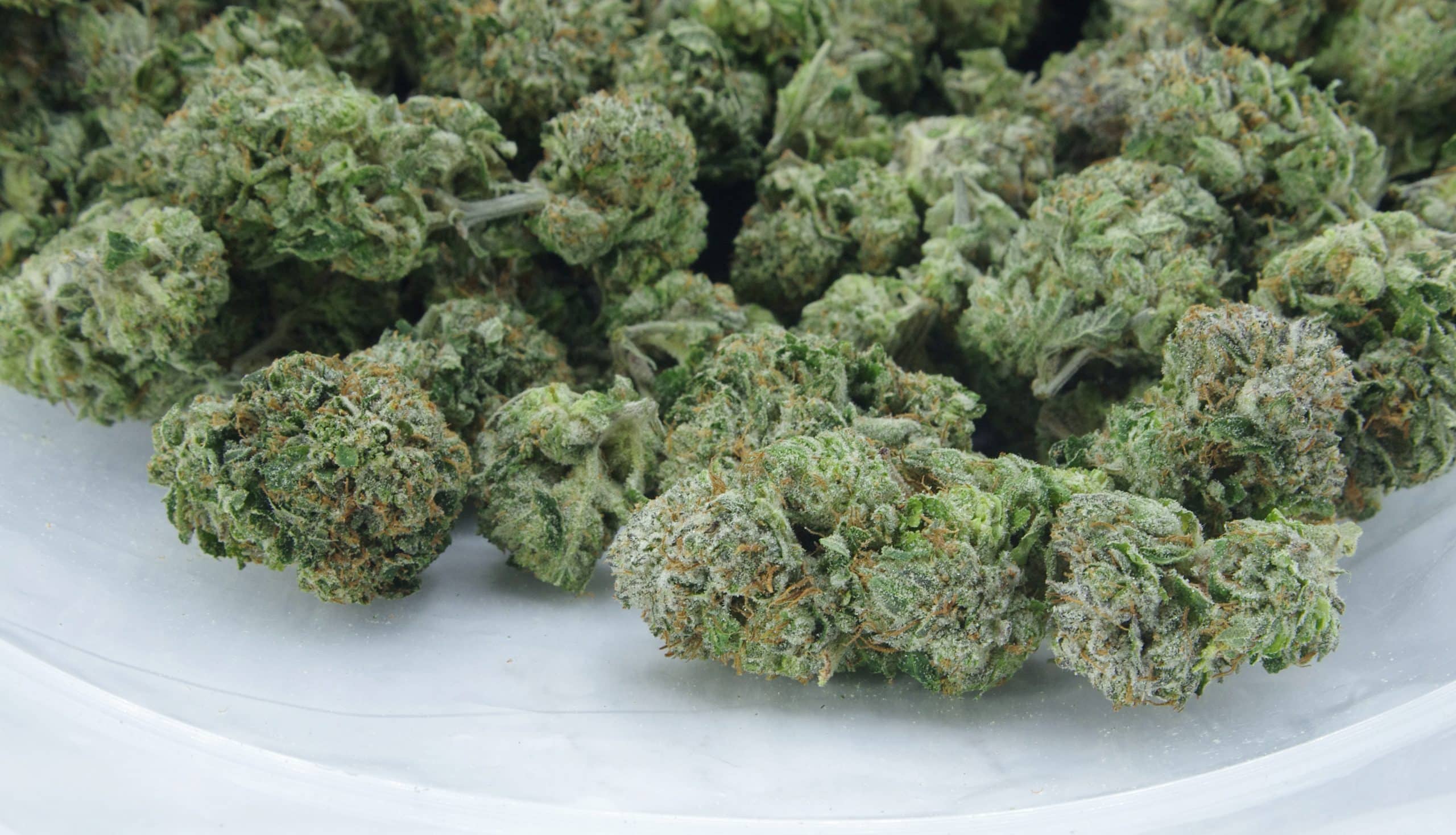 Pink Kush (Oz Special) All Strains anti-anxiety Pink Kush (Oz Special) All Strains anti-anxiety