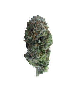 buy pink kush online
