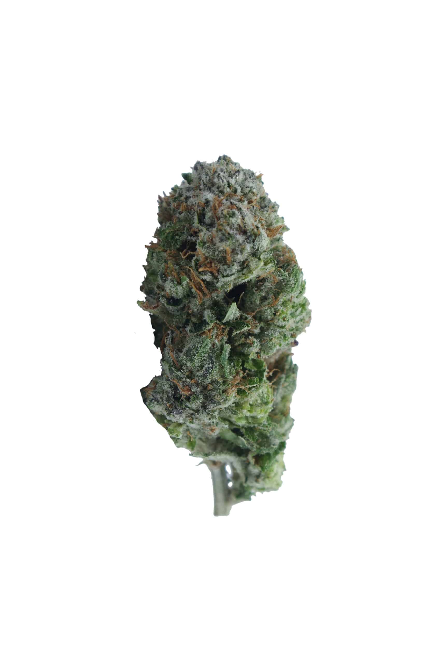 Pink Kush (Oz Special) All Strains anti-anxiety Pink Kush (Oz Special) All Strains anti-anxiety