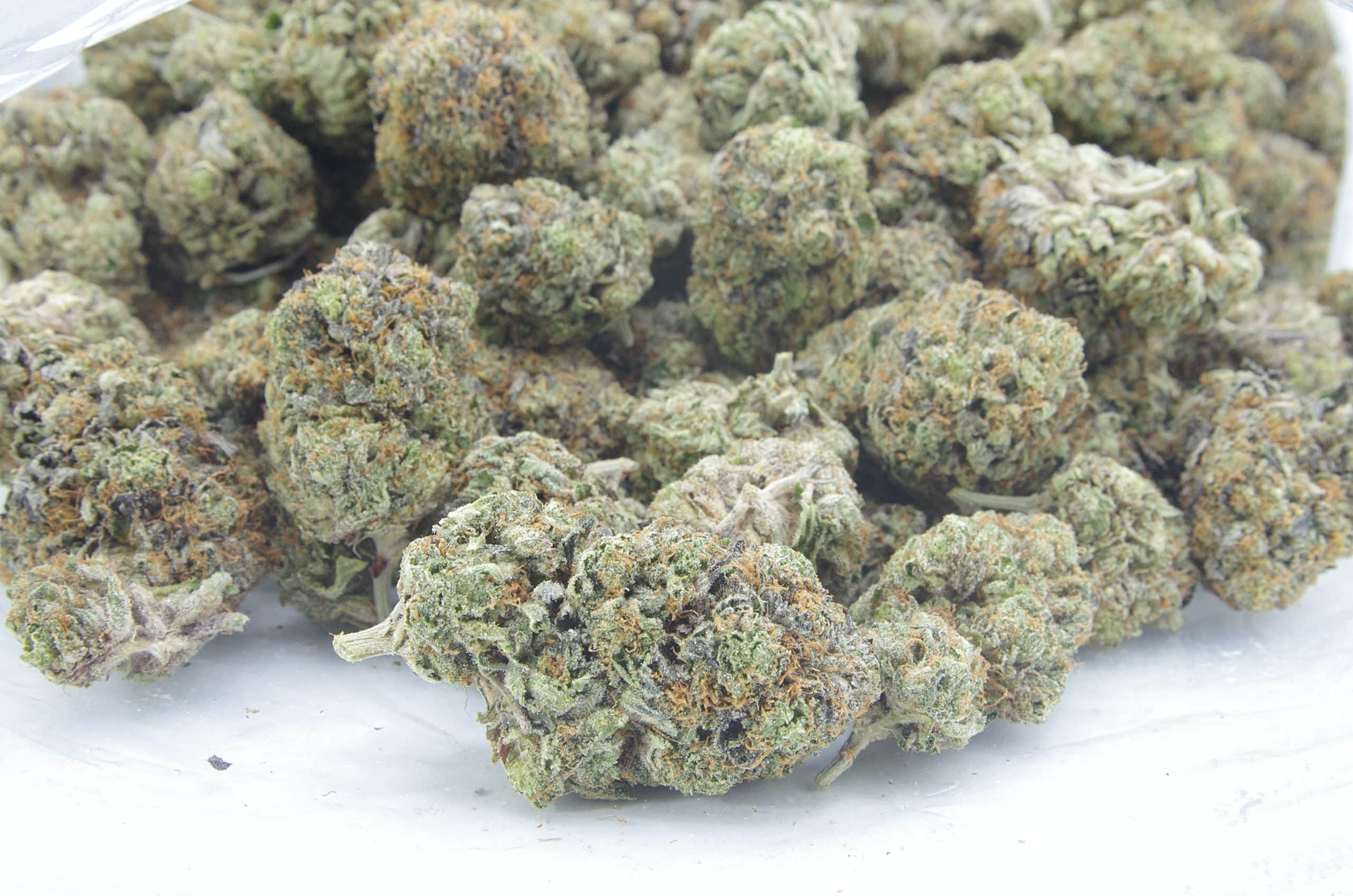 Predator (Oz Special) Indica anti-anxiety Predator (Oz Special) Indica anti-anxiety