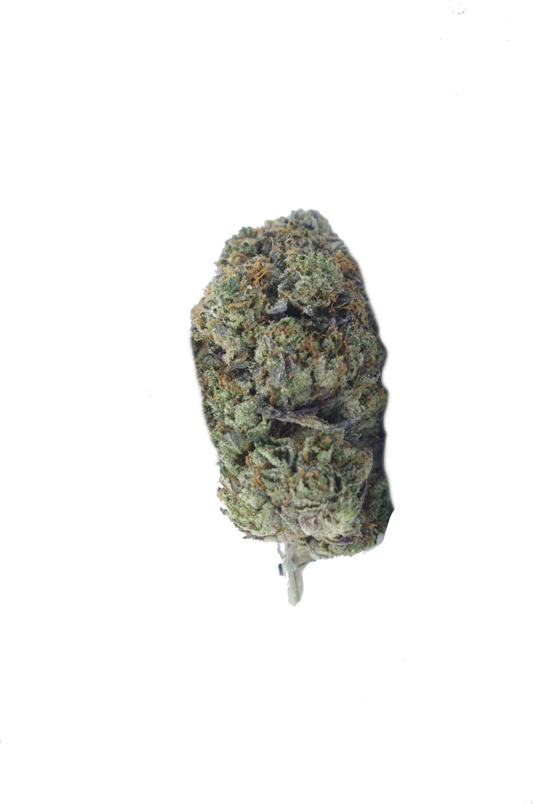 Predator (Oz Special) Indica anti-anxiety Predator (Oz Special) Indica anti-anxiety