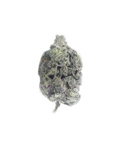 buy pure kush online