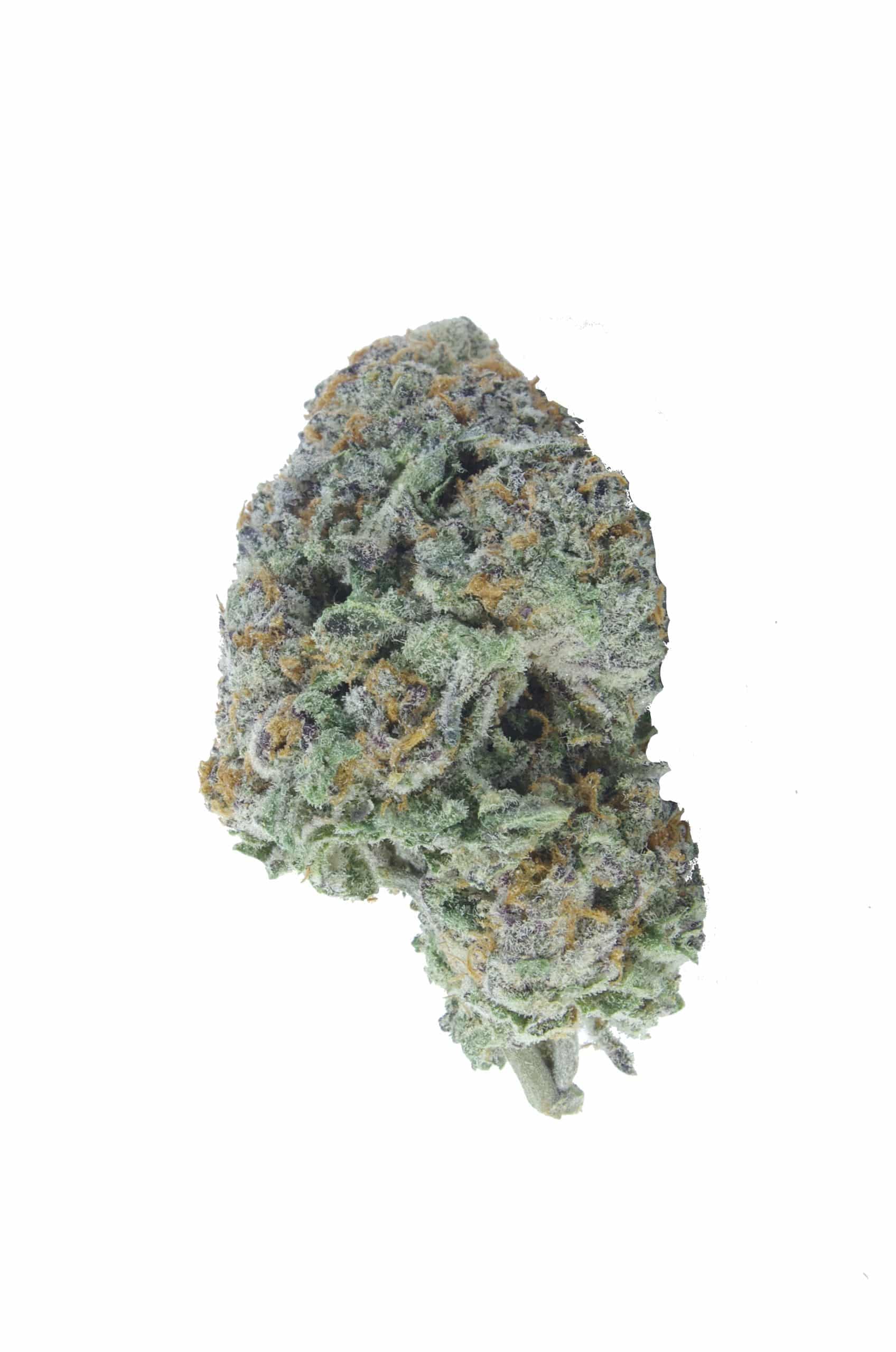 Purple Space Cookies (Oz Special) All Strains anti-anxiety Purple Space Cookies (Oz Special) All Strains anti-anxiety