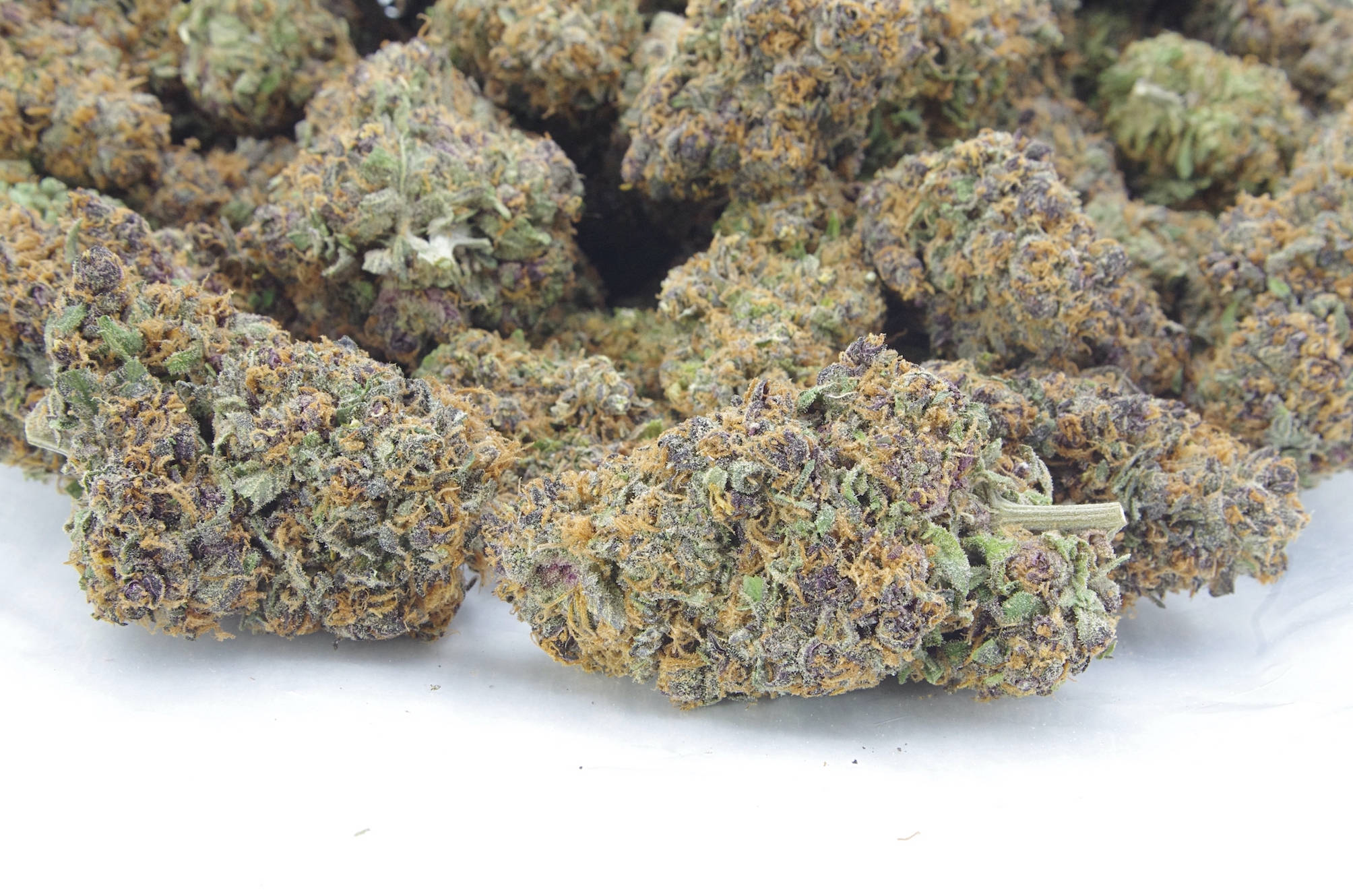 Purple Tangie (Oz Special) All Strains anxiety Purple Tangie (Oz Special) All Strains anxiety