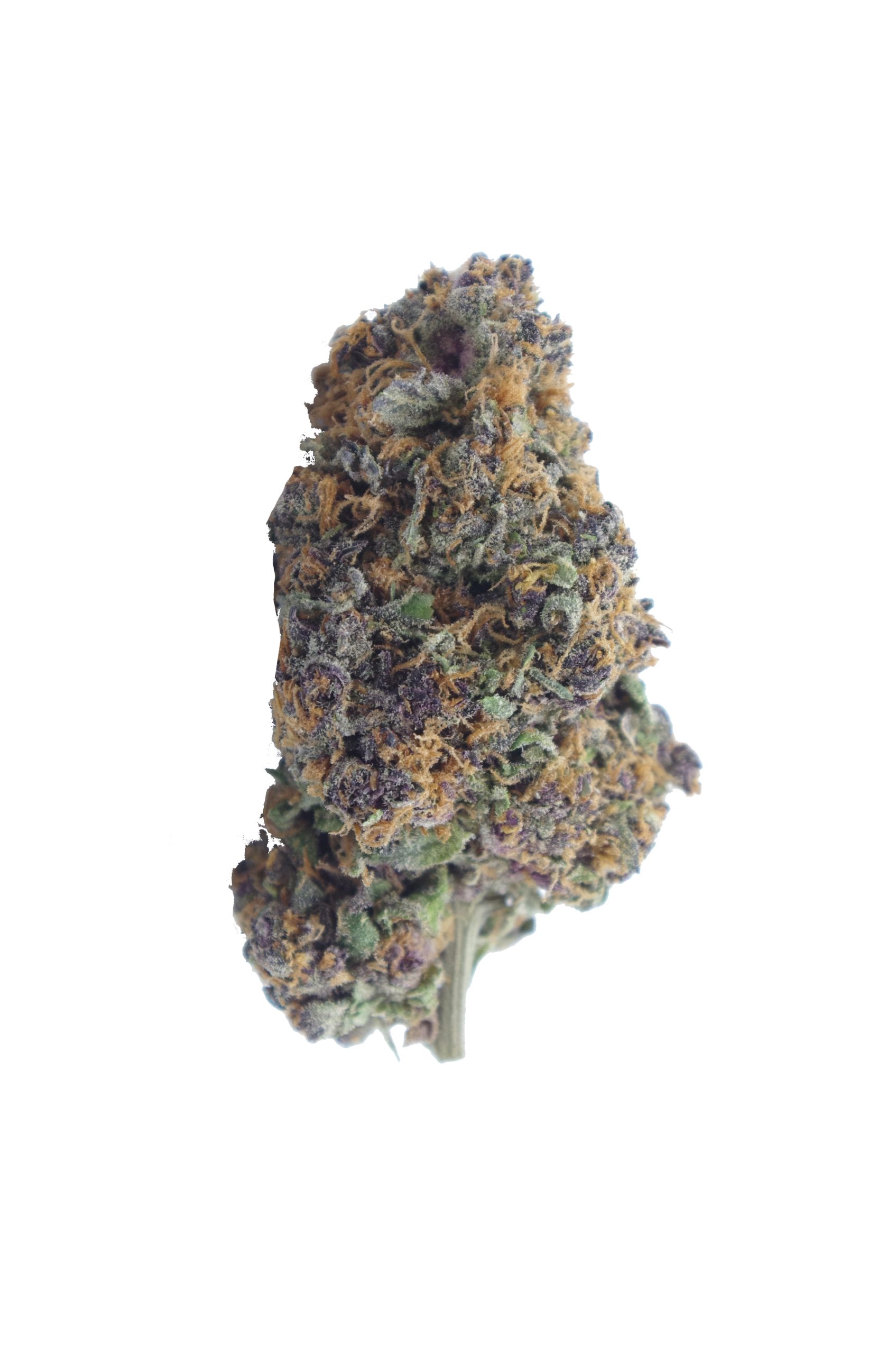 Purple Tangie (Oz Special) All Strains anxiety Purple Tangie (Oz Special) All Strains anxiety