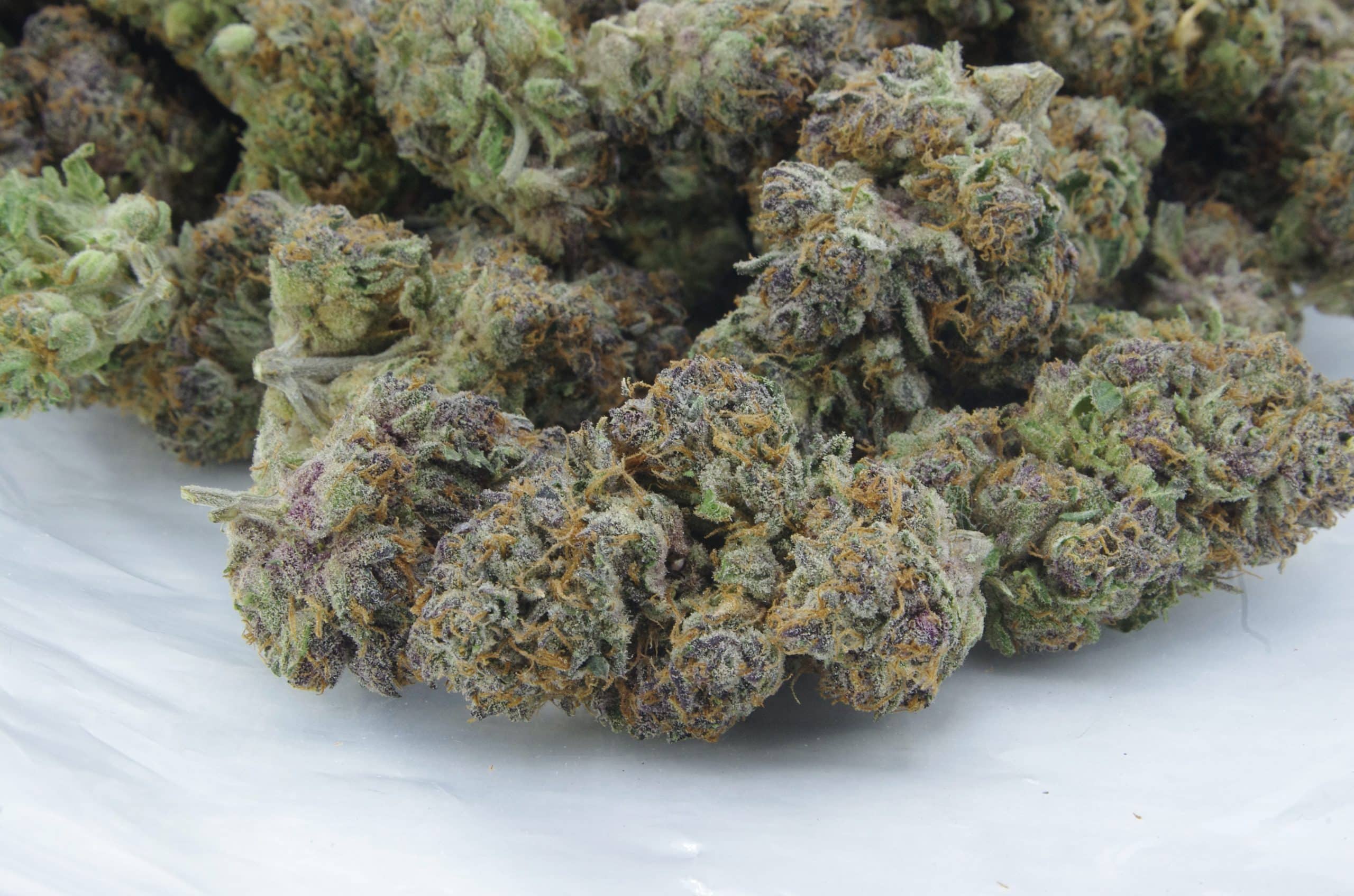 Purple Urkle (Ounce Special) All Strains anxiety Purple Urkle (Ounce Special) All Strains anxiety
