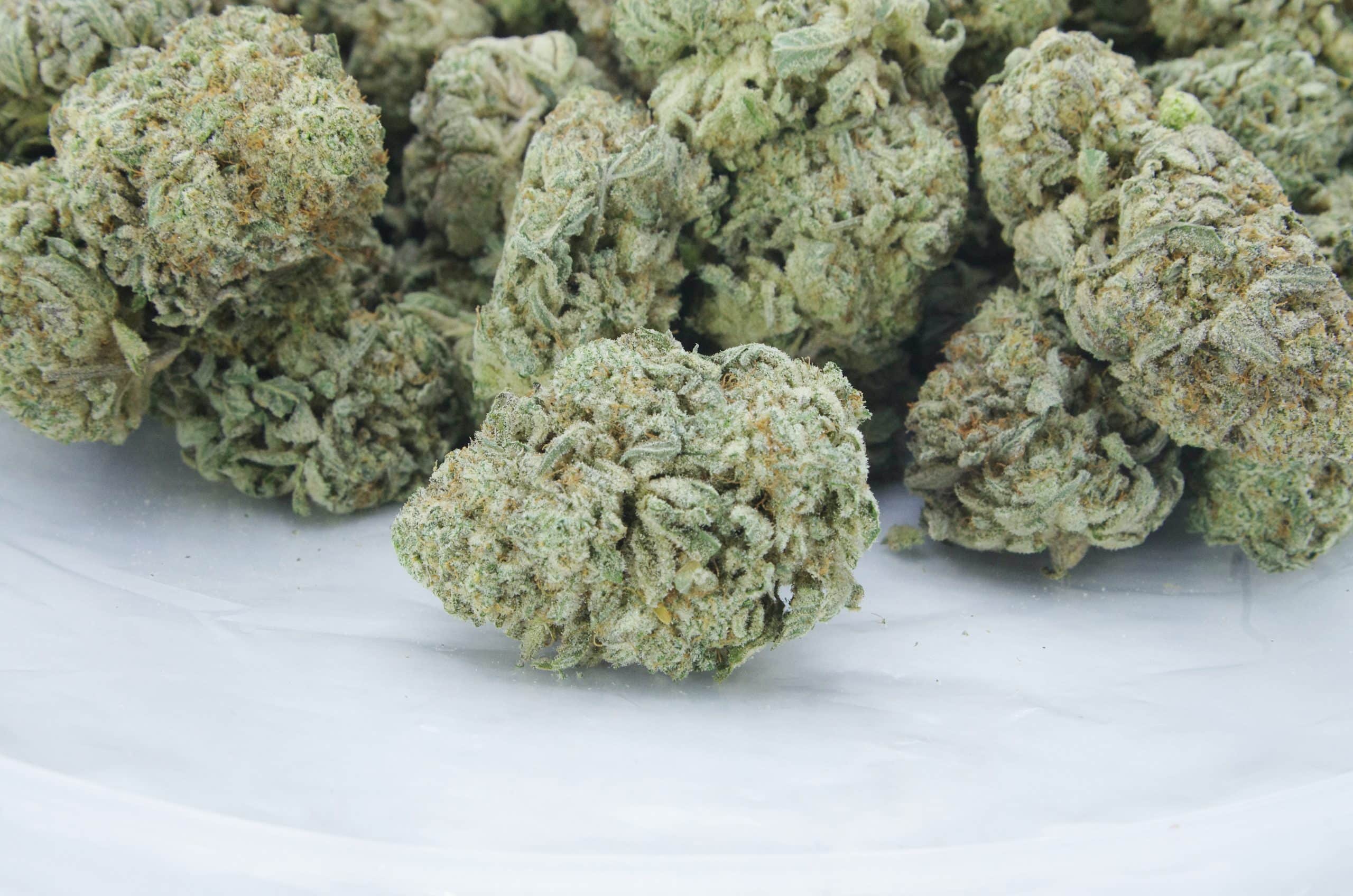 Quattro Kush (3.5G) Indica anti-anxiety Quattro Kush (3.5G) Indica anti-anxiety