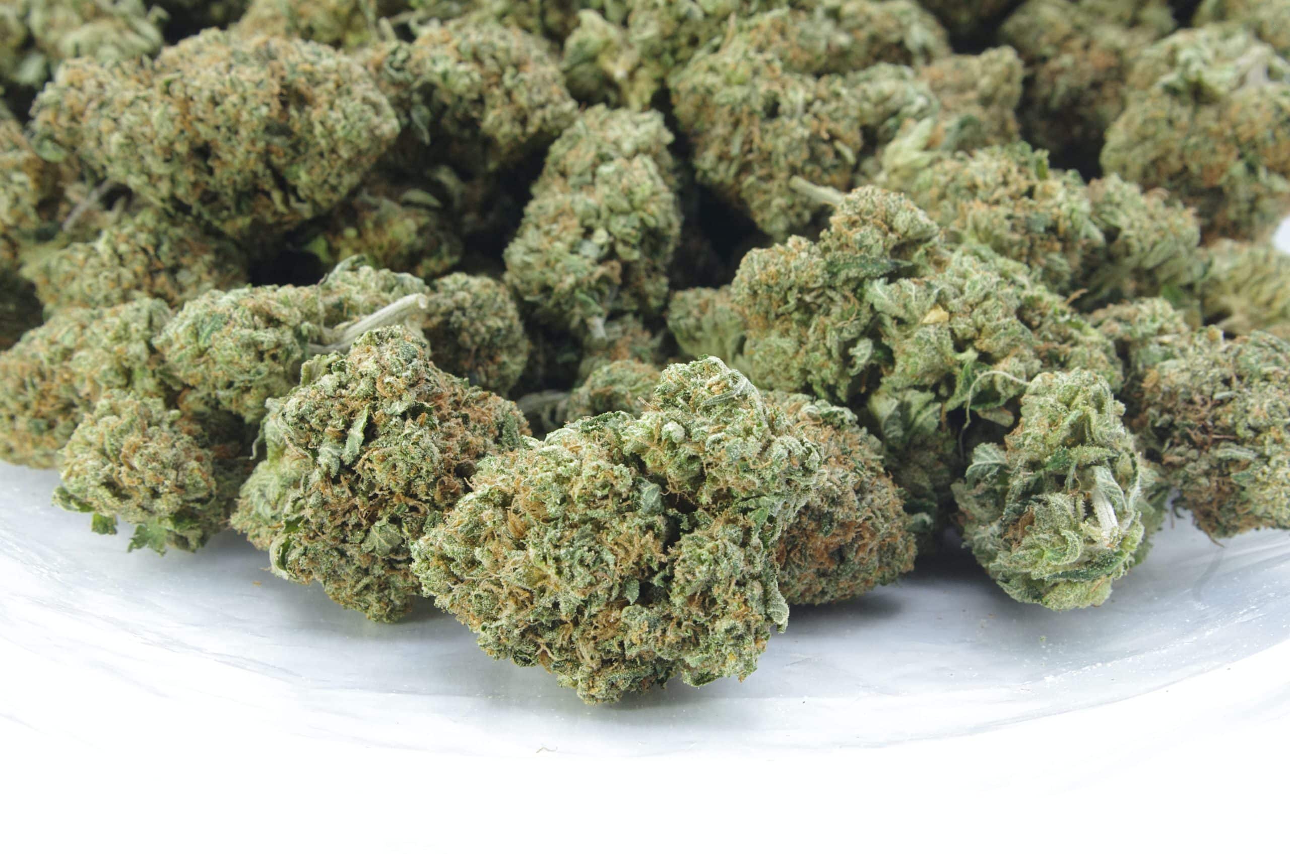 Rock Tuna (3.5G) All Strains anti-anxiety Rock Tuna (3.5G) All Strains anti-anxiety