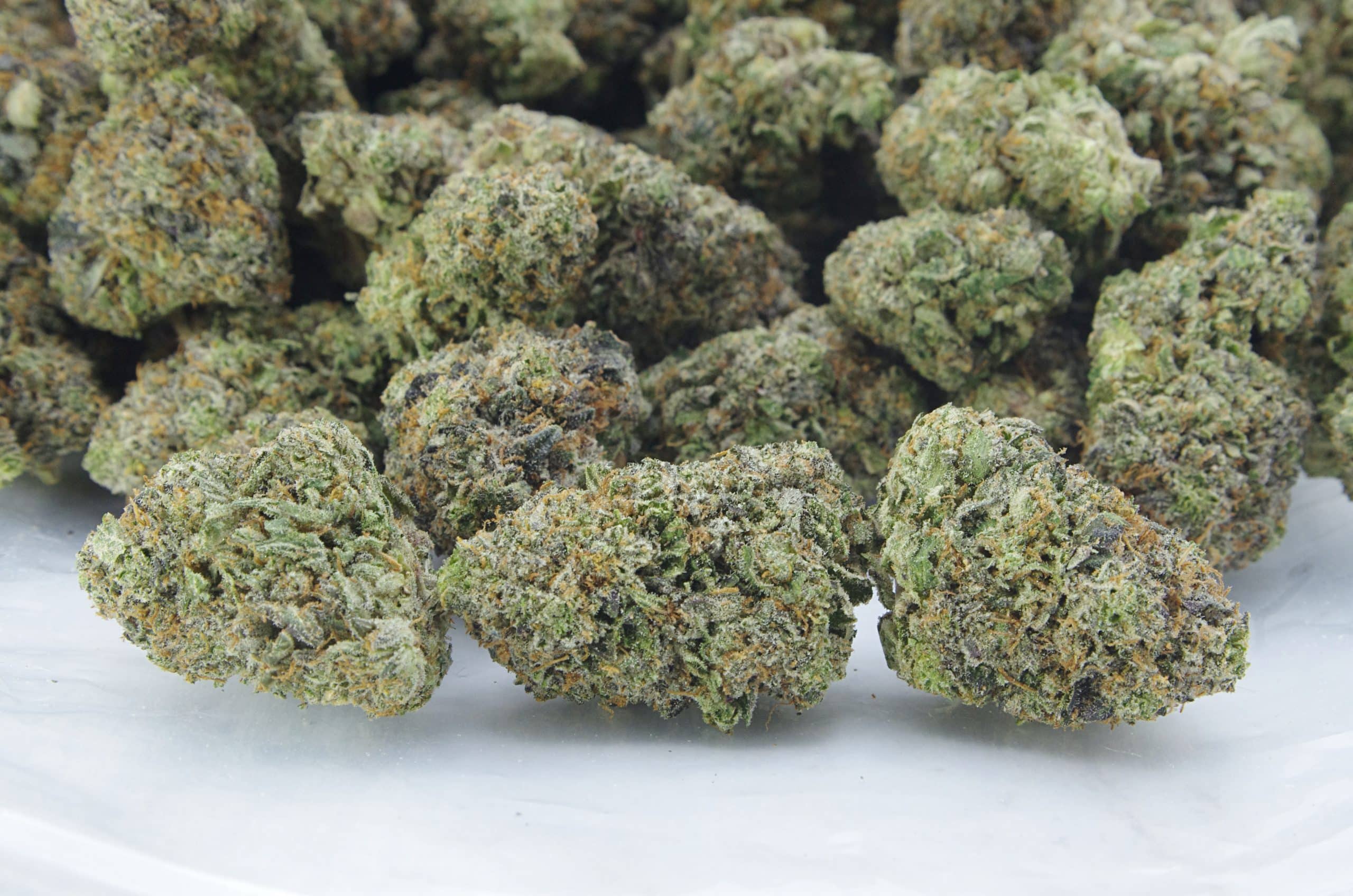 Rockstar (Oz Special) All Strains anti-anxiety Rockstar (Oz Special) All Strains anti-anxiety