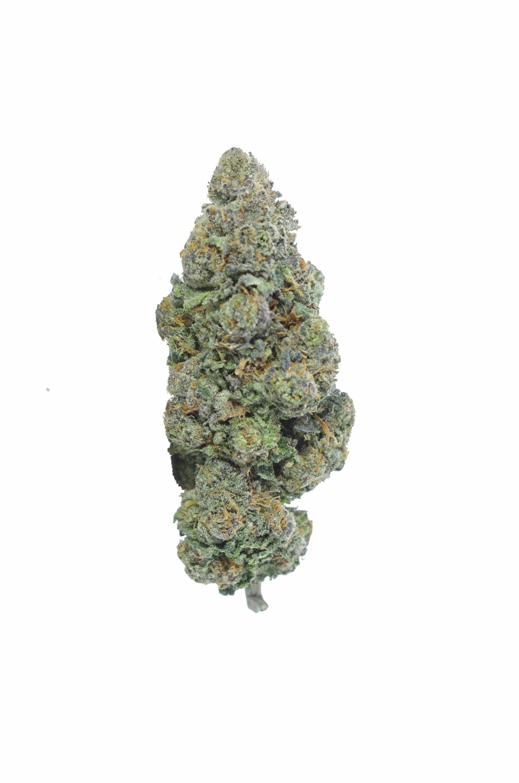 Romberry (Oz Special) All Strains Romberry (Oz Special) All Strains