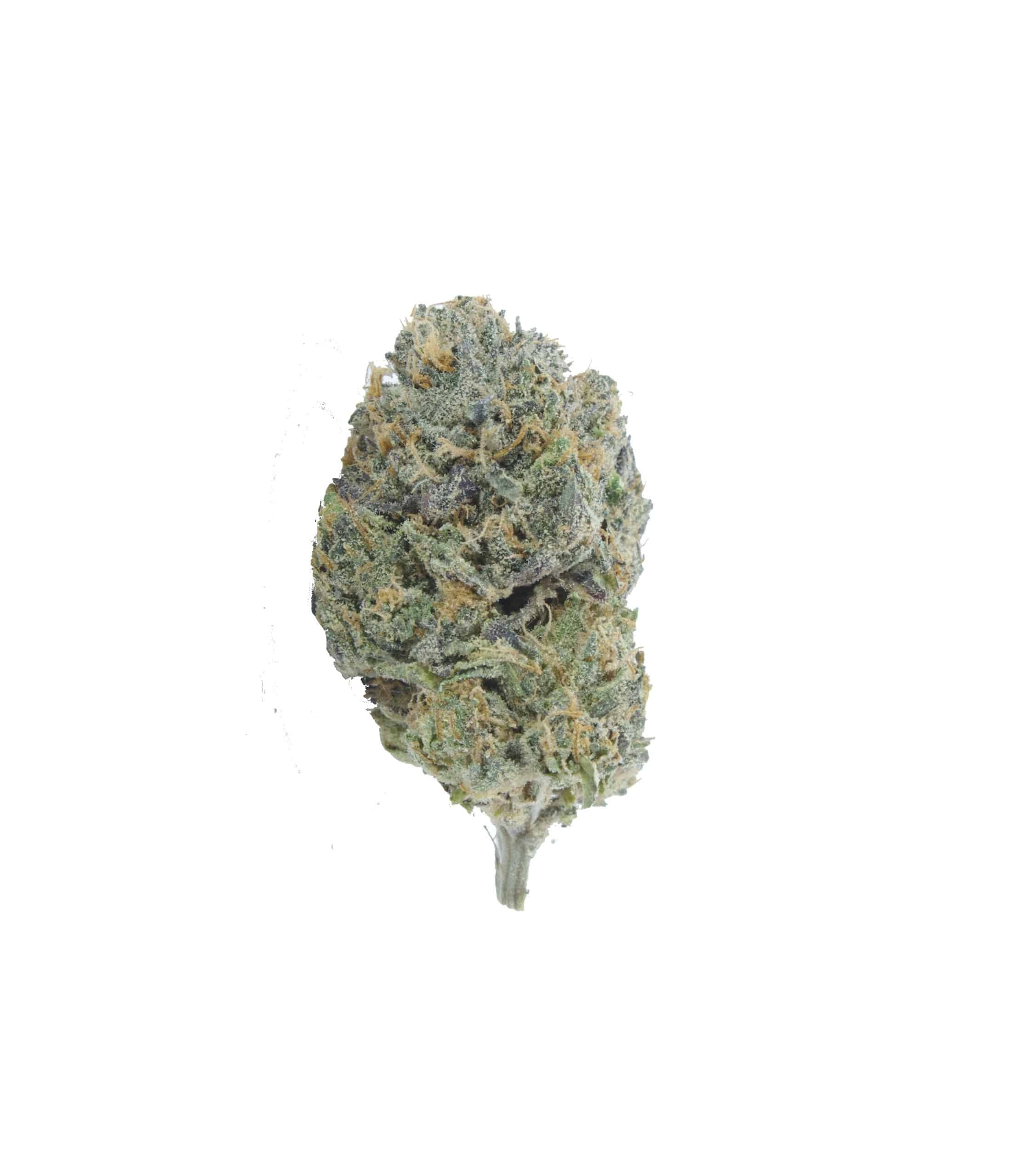 Royal Caramel (Oz Special) All Strains Royal Caramel (Oz Special) All Strains