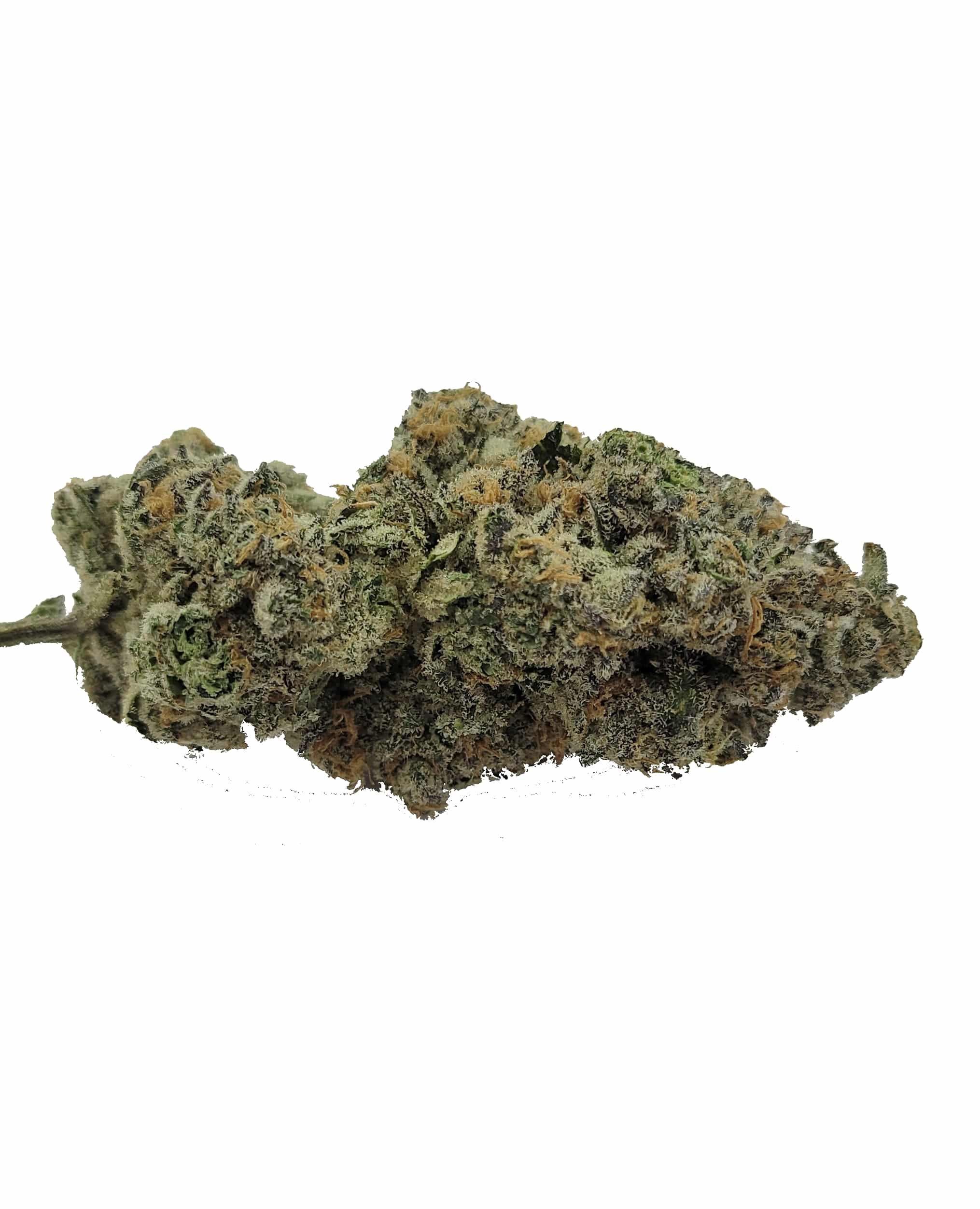 Sundae Driver (oz special) Hybrid anxiety Sundae Driver (oz special) Hybrid anxiety