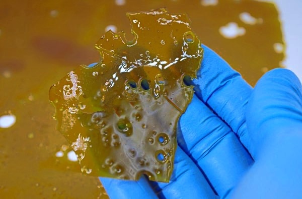 Shark Tooth Shatter Concentrates Shark Tooth Shatter Concentrates