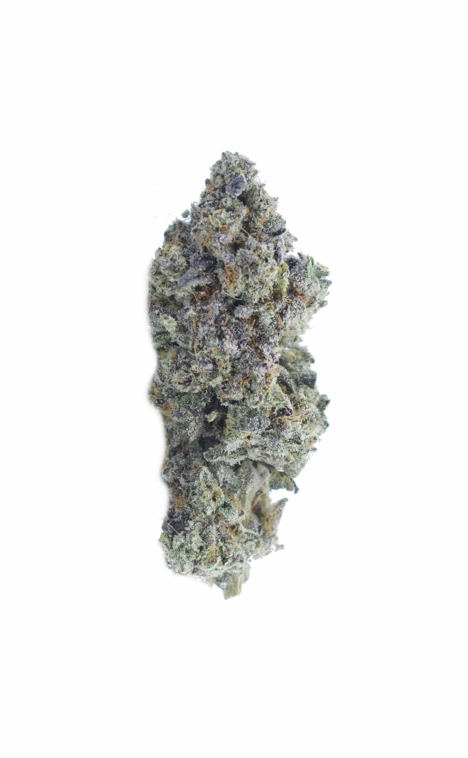 Sirius Black (Oz Special) Hybrid anti-anxiety Sirius Black (Oz Special) Hybrid anti-anxiety